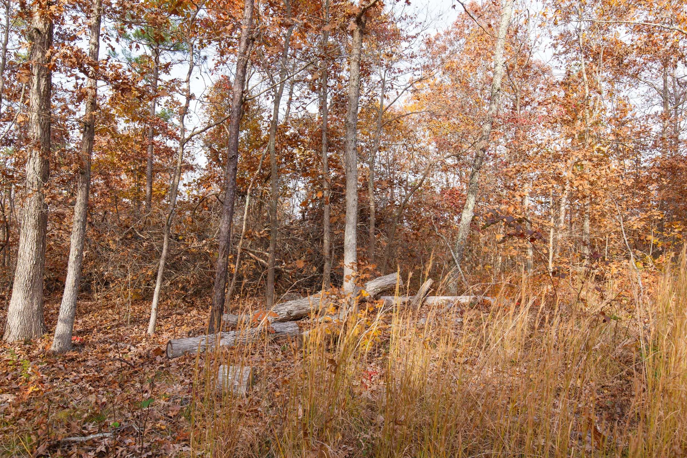 Hawk Crest — Zero Credit Land owner financed land for sale in Reynolds County, Missouri photo 3