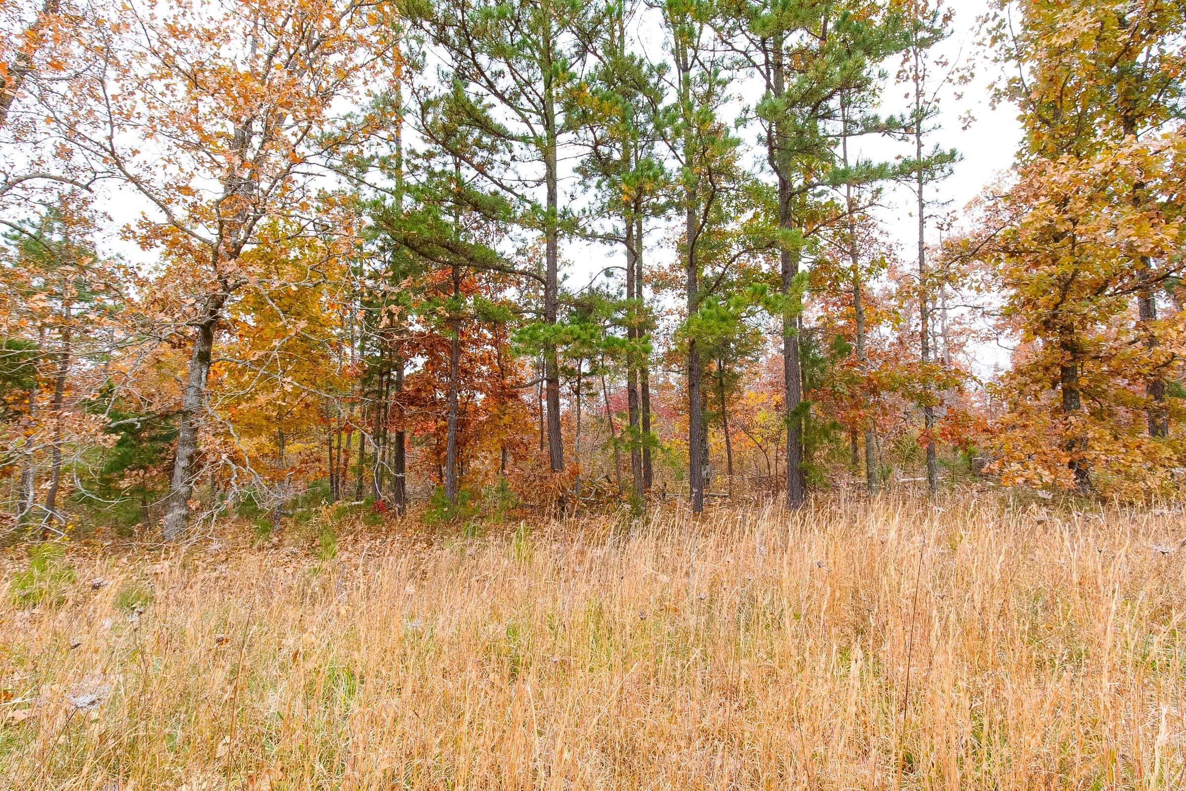 Hawk Crest — Zero Credit Land owner financed land for sale in Reynolds County, Missouri photo 5