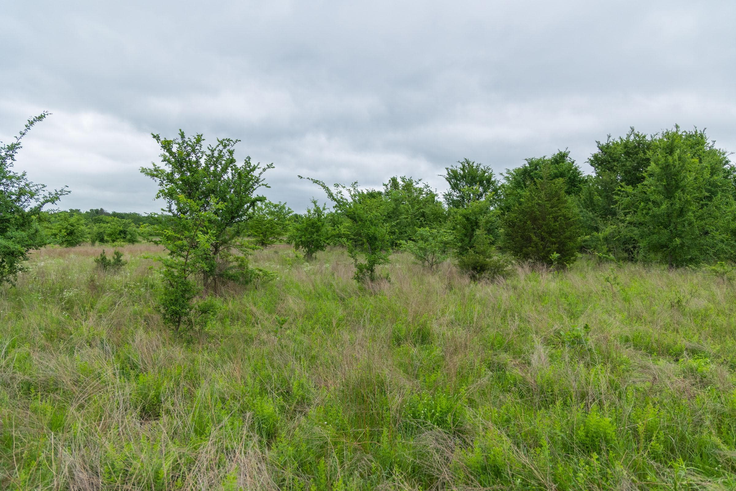 Harmony Hills — Zero Credit Land owner financed land for sale in Pittsburg County, Oklahoma photo 184
