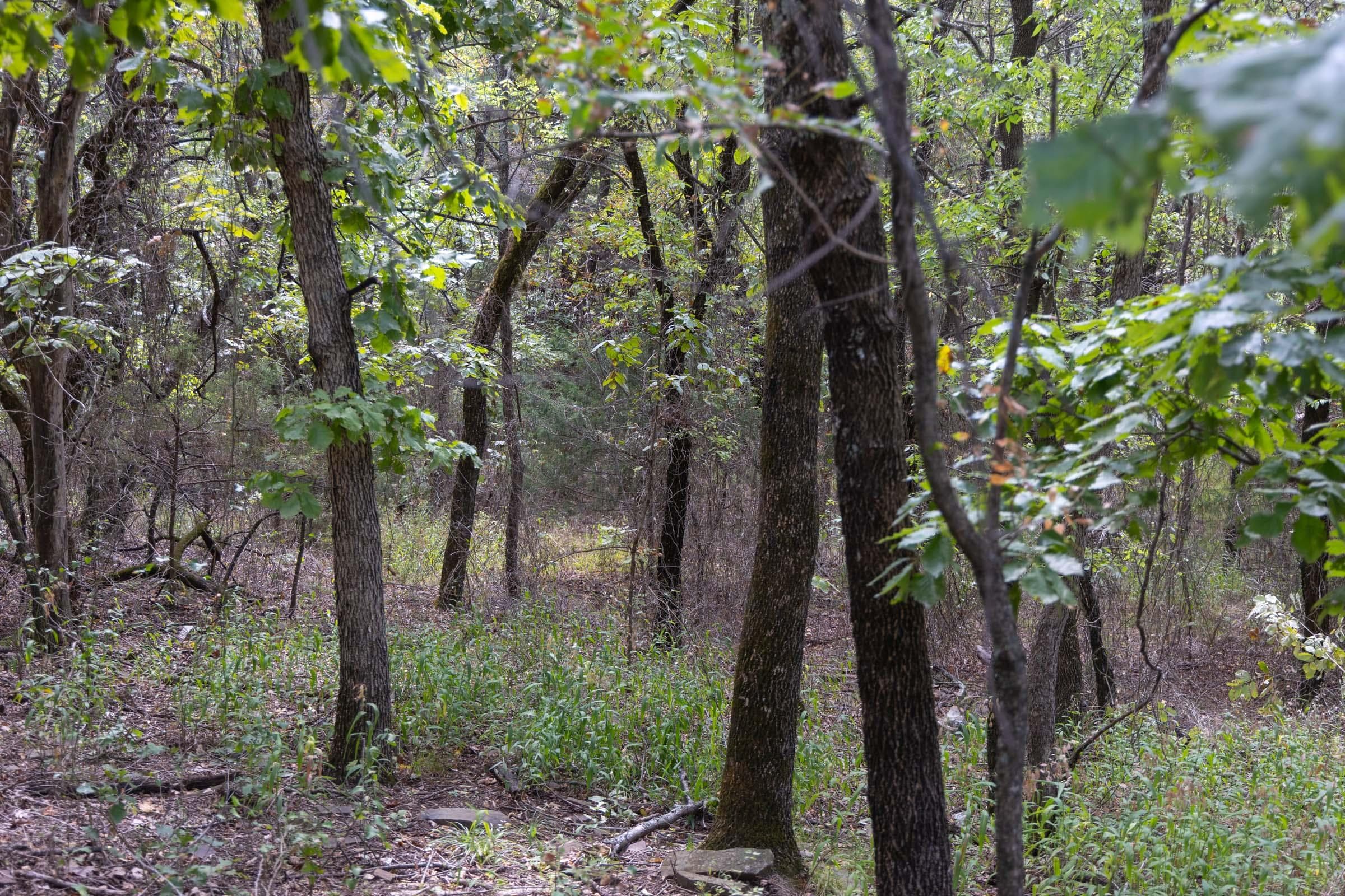  Reserves At Cattail Cove Phase II — Zero Credit Land owner financed land for sale in Pittsburg County, Oklahoma photo 66