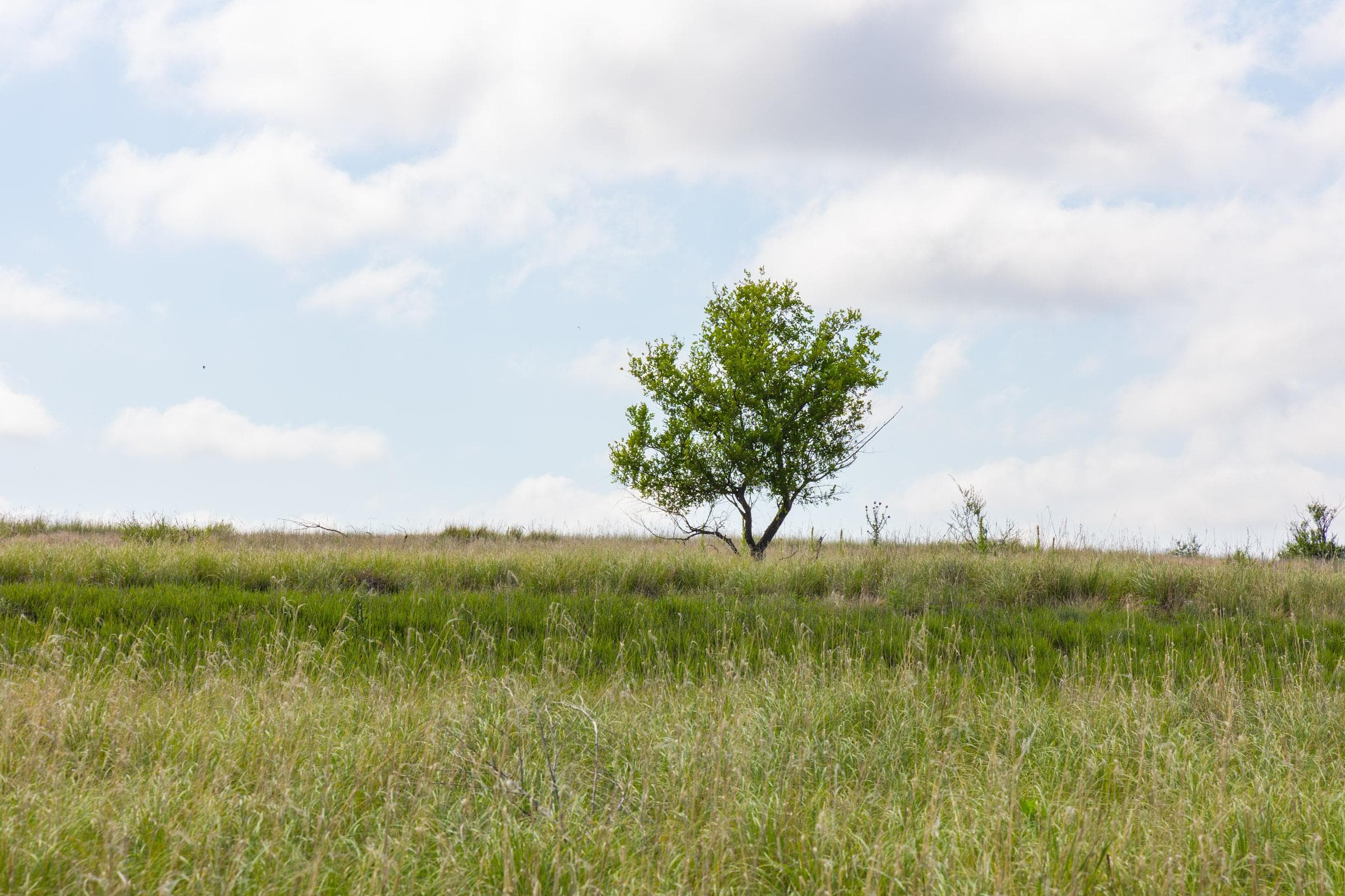 Crandall’s Corner — Zero Credit Land owner financed land for sale in Graham County, Kansas photo 3