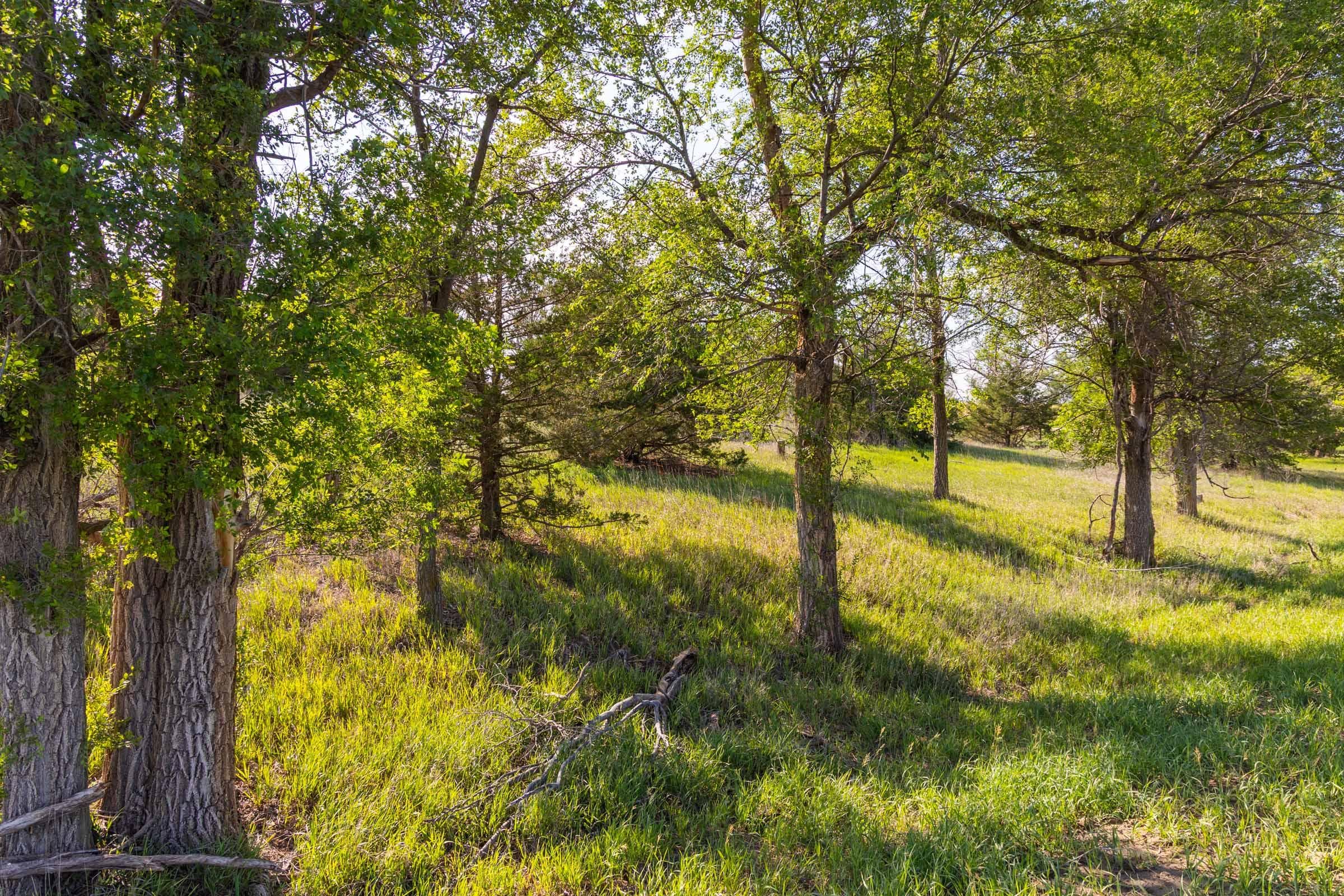 Crandall’s Corner — Zero Credit Land owner financed land for sale in Graham County, Kansas photo 7