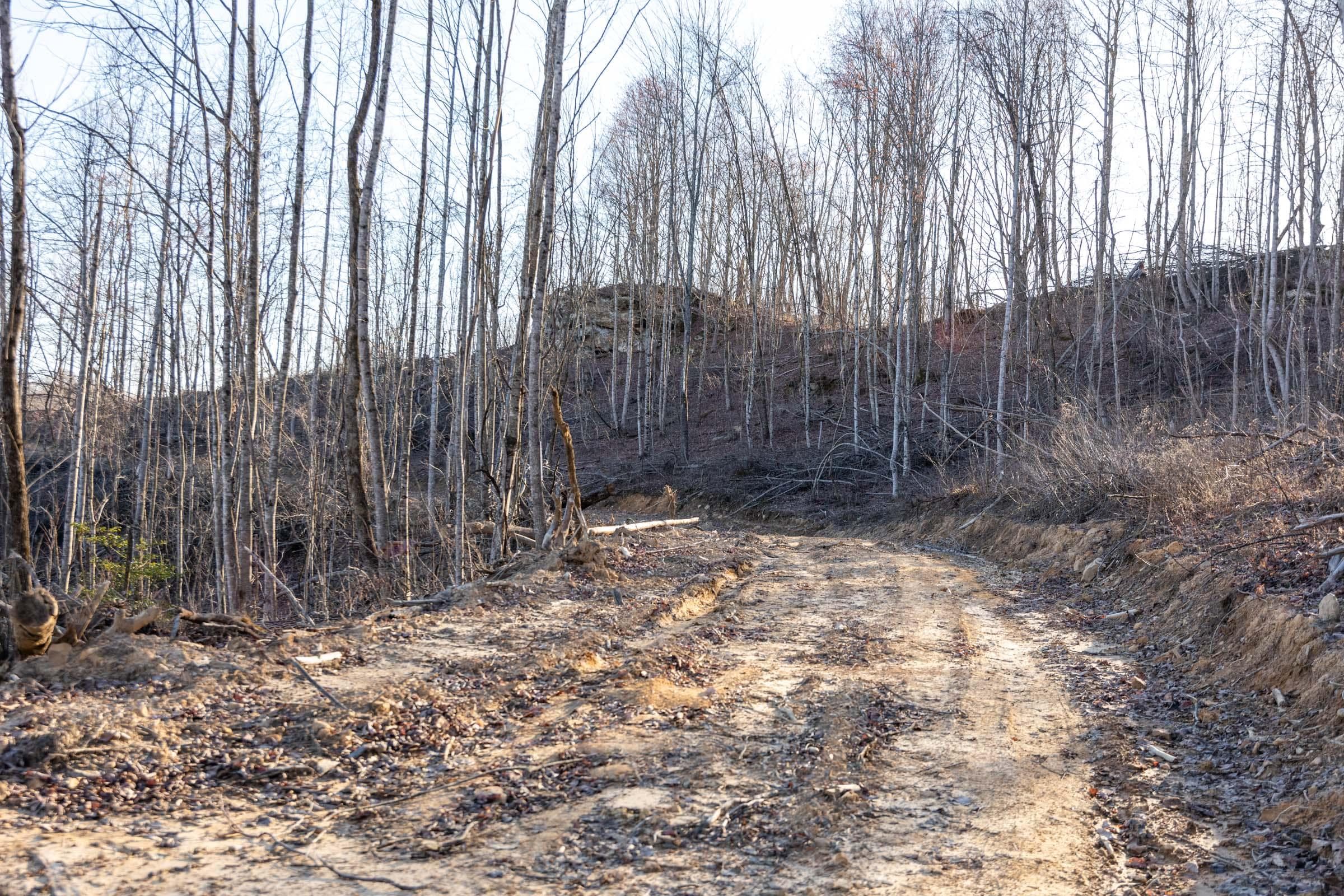 Creek Hollow Phase 1 — Zero Credit Land owner financed land for sale in Rockcastle County, Kentucky photo 45