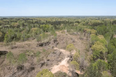 Twin Rivers — Zero Credit Land owner financed land for sale in Henderson County, Tennessee photo 37