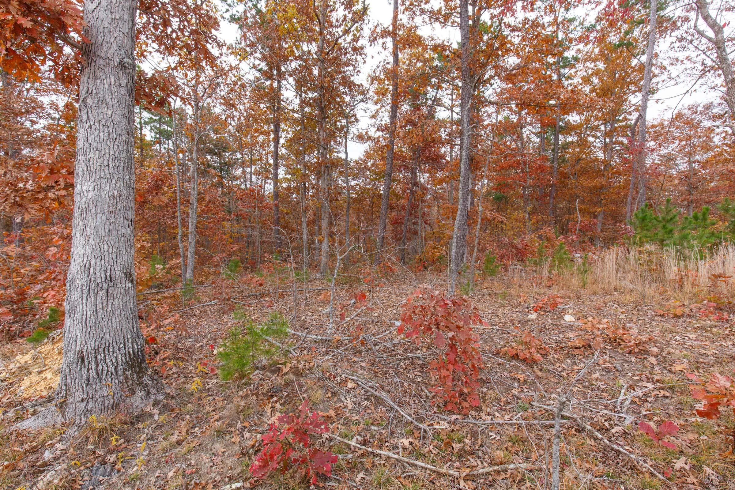 Hawk Crest — Zero Credit Land owner financed land for sale in Reynolds County, Missouri photo 15