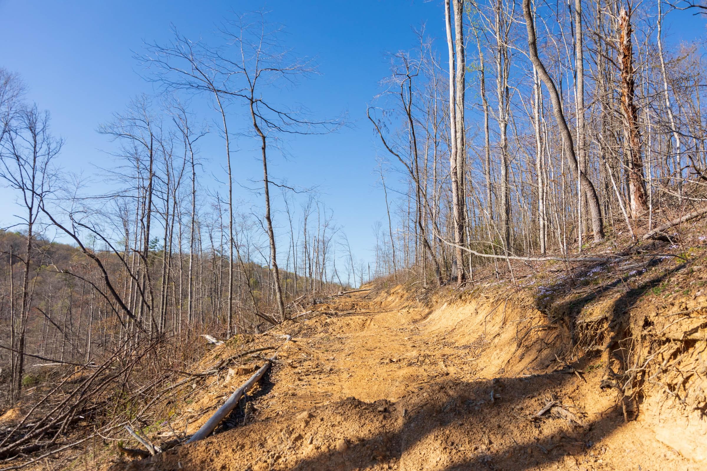 Creek Hollow Phase 1 — Zero Credit Land owner financed land for sale in Rockcastle County, Kentucky photo 50
