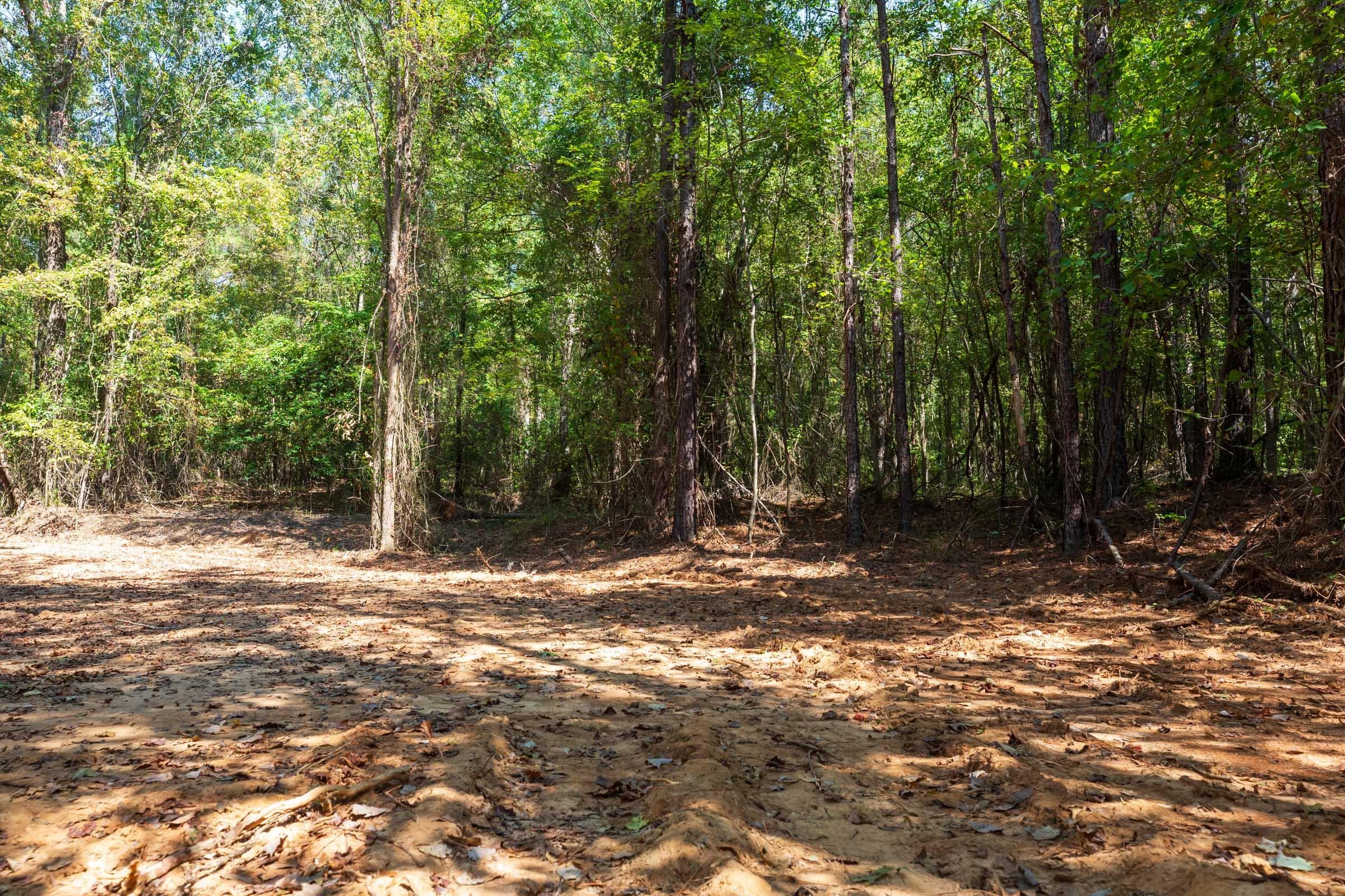 Willow Grove — Zero Credit Land owner financed land for sale in Lamar County, Alabama photo 6