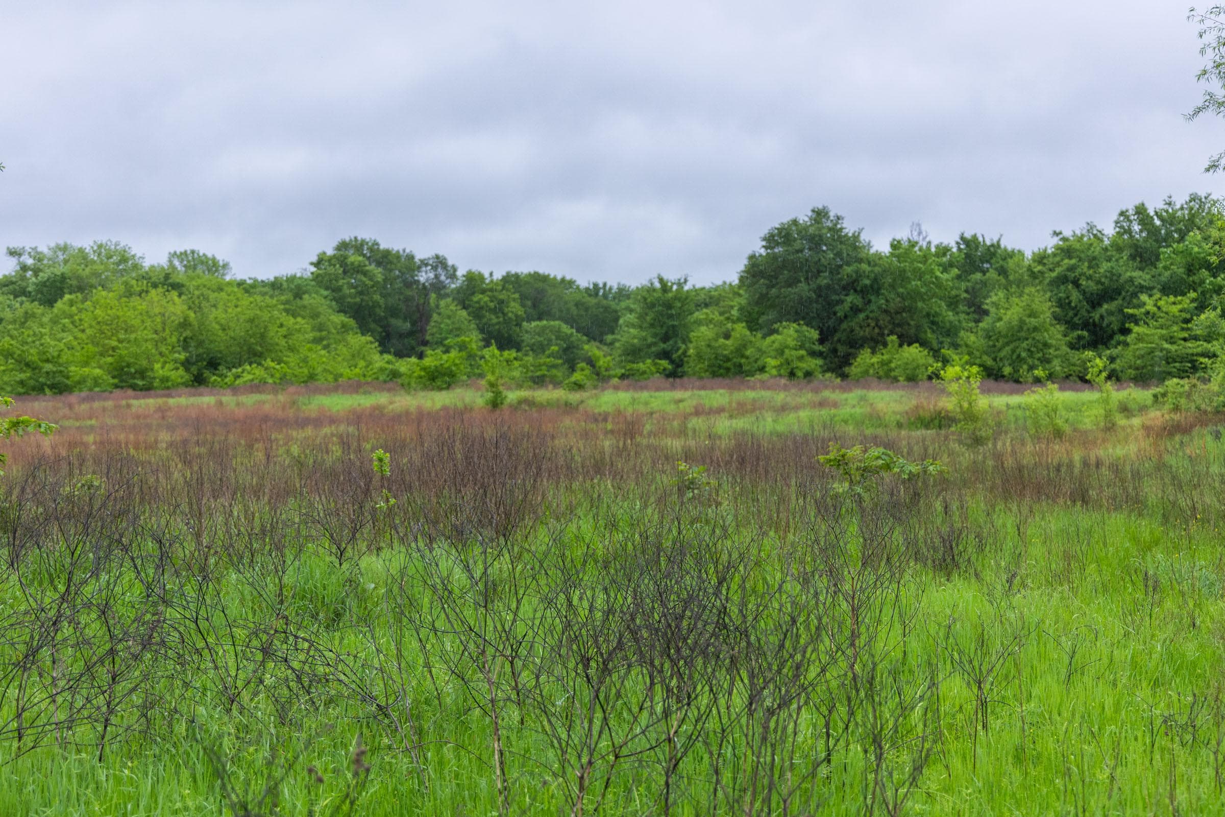 Harmony Hills — Zero Credit Land owner financed land for sale in Pittsburg County, Oklahoma photo 136