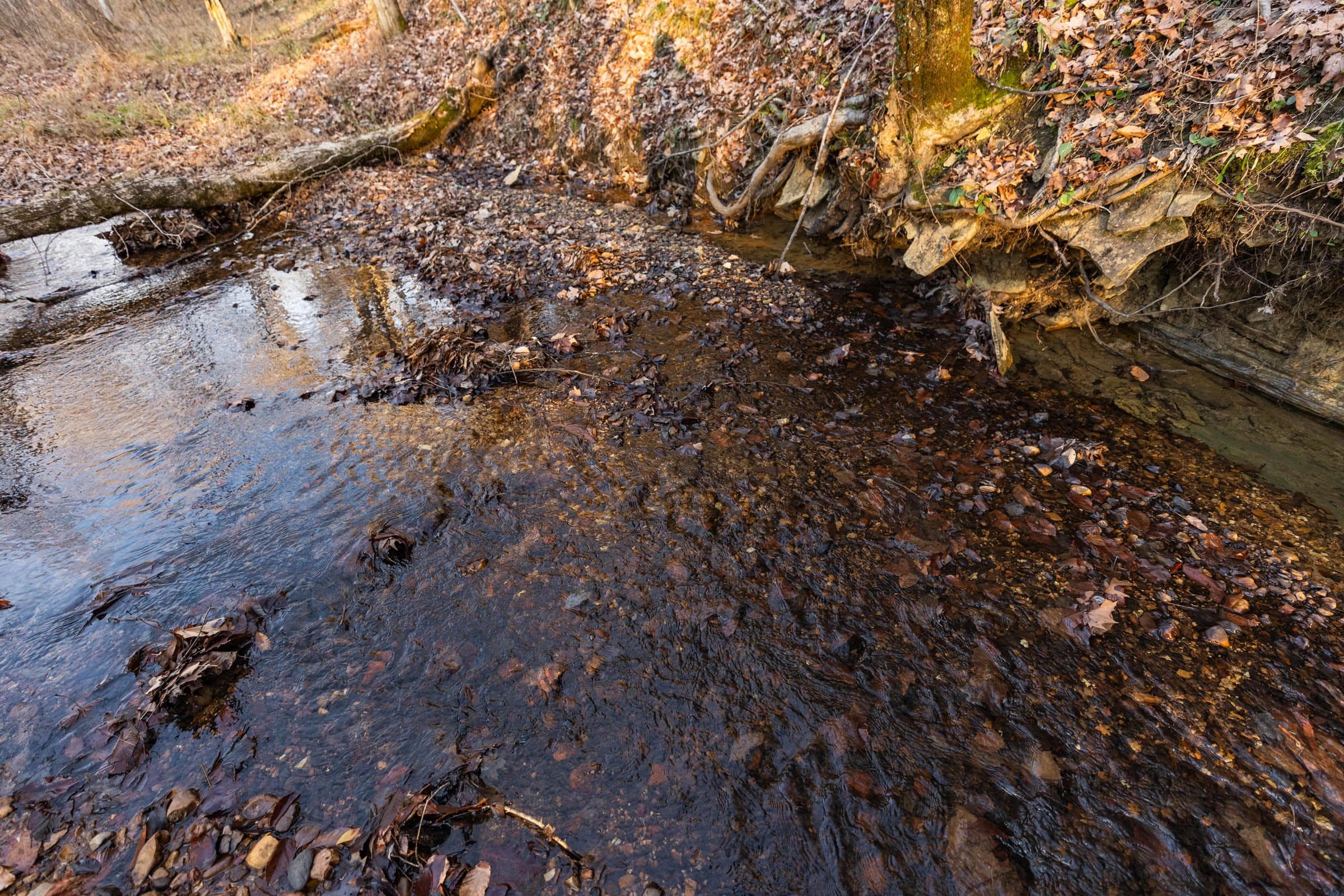 Lighting Ridge — Zero Credit Land owner financed land for sale in Colbert County, Alabama photo 38