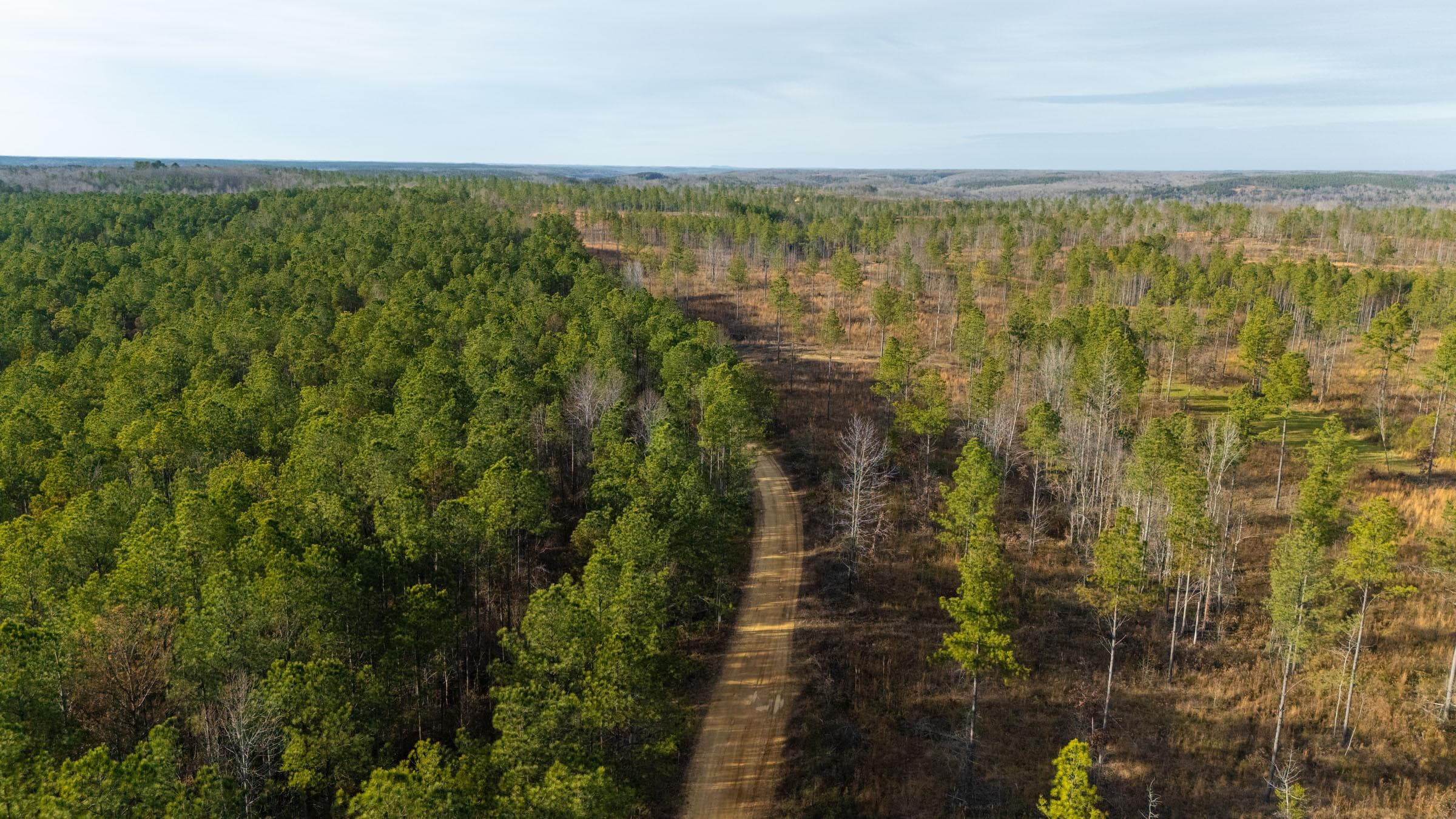 Lighting Ridge — Zero Credit Land owner financed land for sale in Colbert County, Alabama photo 25
