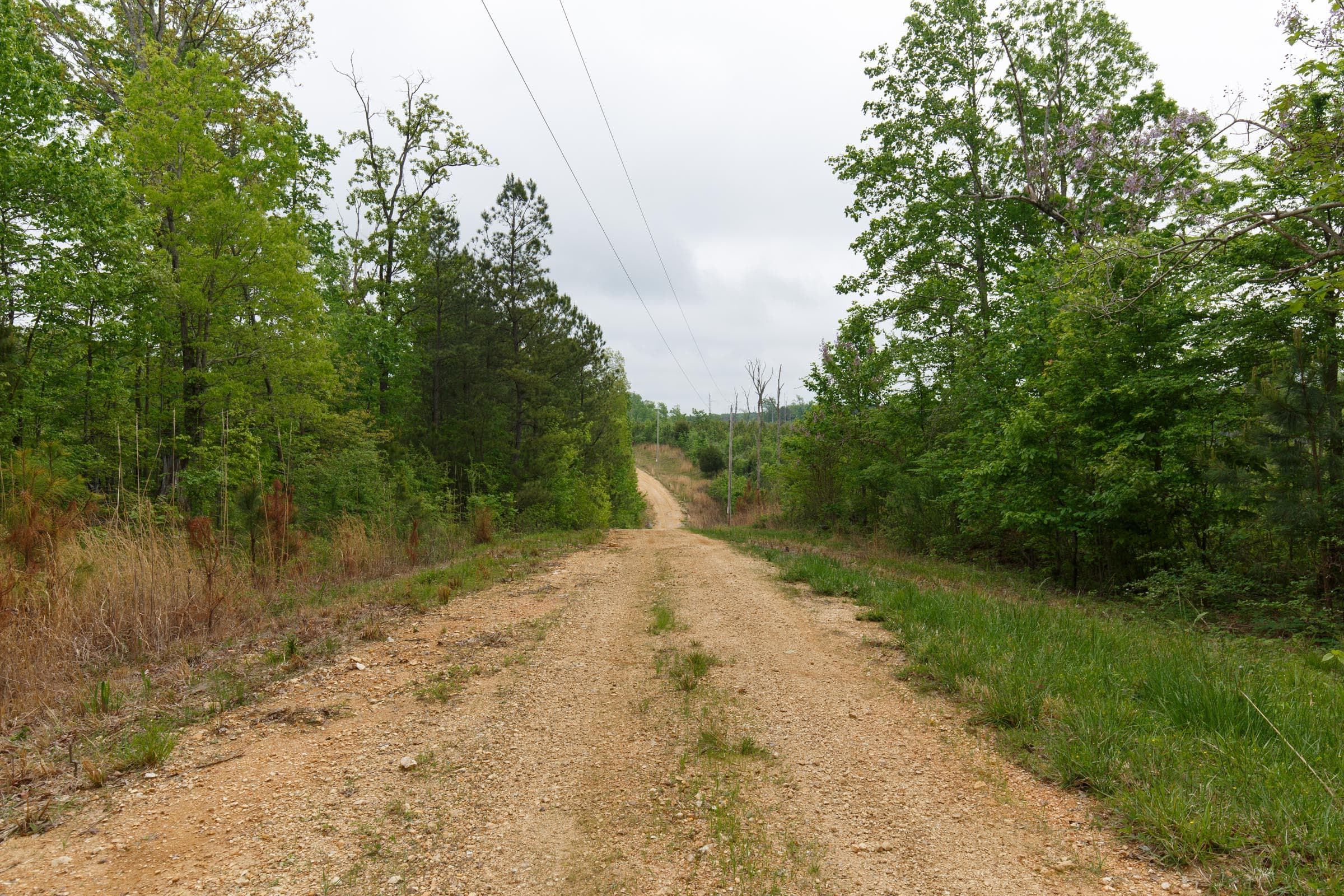 Red Barn Ranch — Zero Credit Land owner financed land for sale in Benton County, Tennessee photo 14