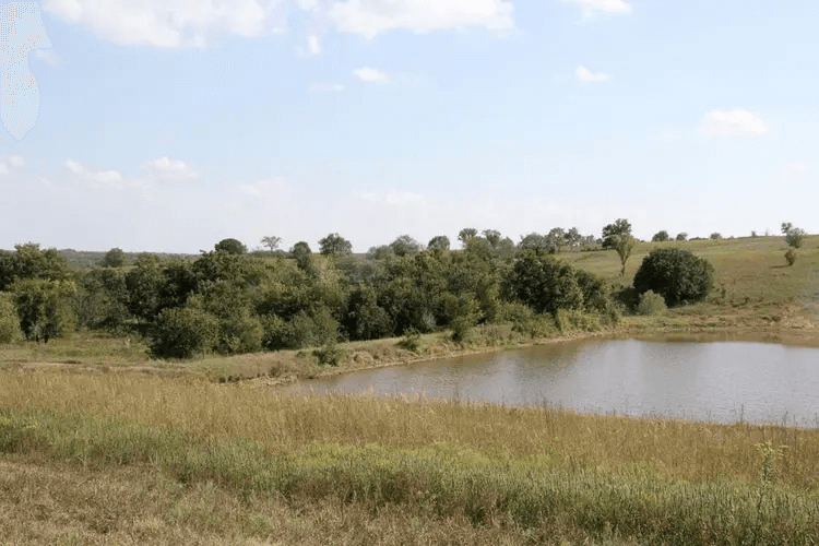 Cowboy Meadows — Zero Credit Land owner financed land for sale in Chautauqua County, Kansas photo 3