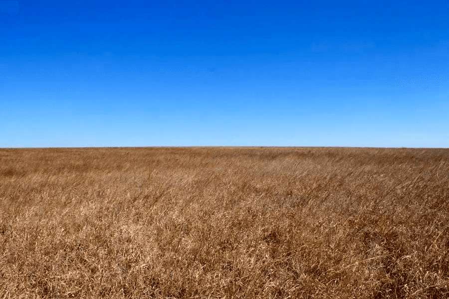 Cowboy Meadows — Zero Credit Land owner financed land for sale in Chautauqua County, Kansas