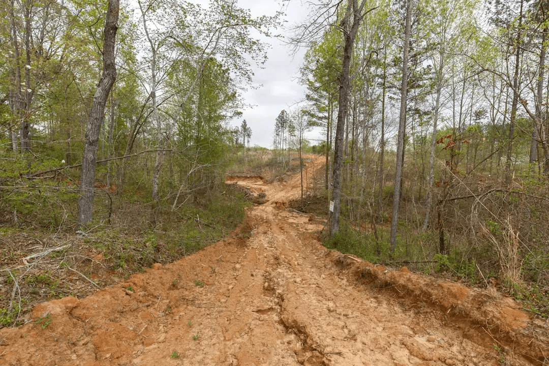Twin Rivers — Zero Credit Land owner financed land for sale in Henderson County, Tennessee photo 5