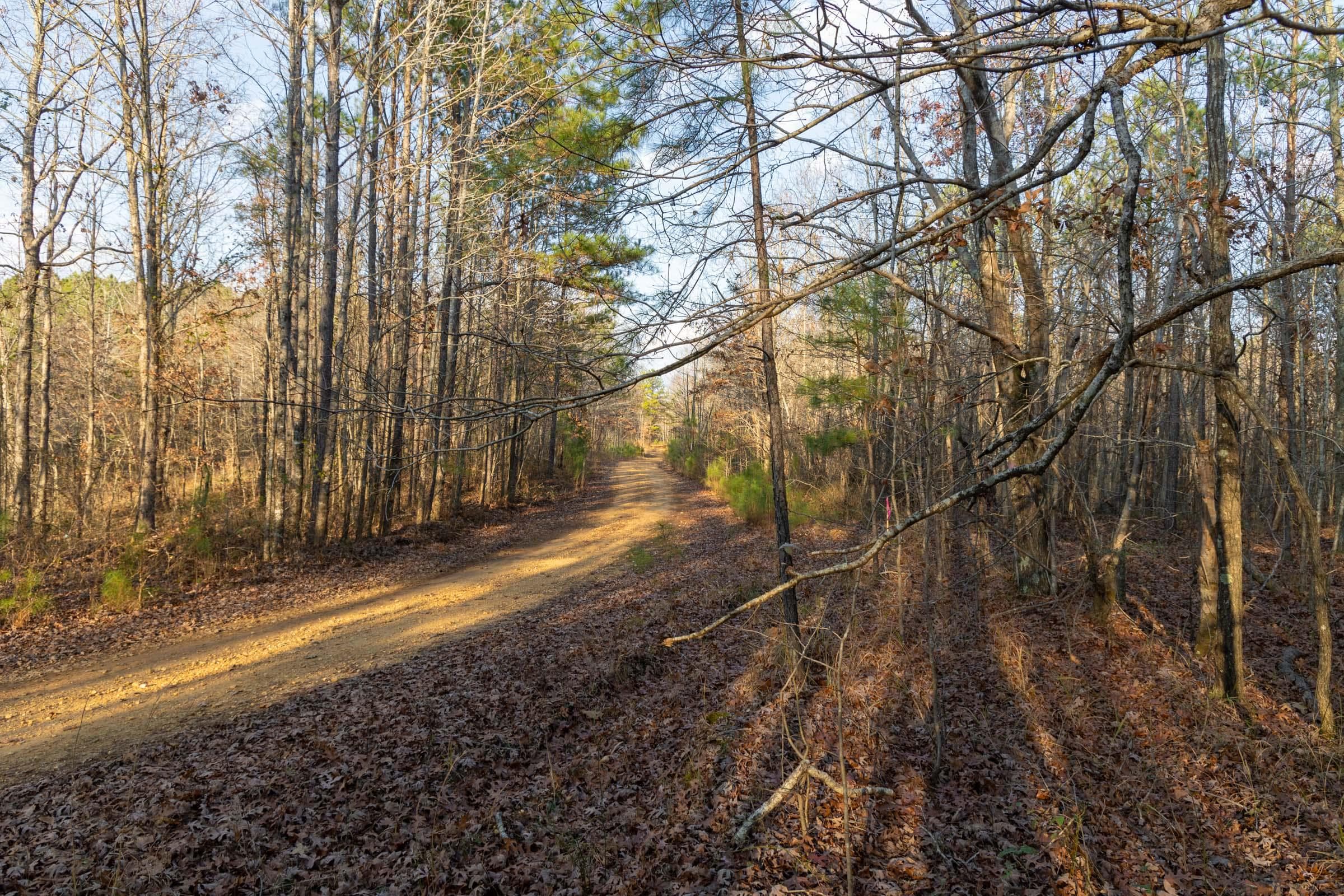 Lighting Ridge — Zero Credit Land owner financed land for sale in Colbert County, Alabama photo 33