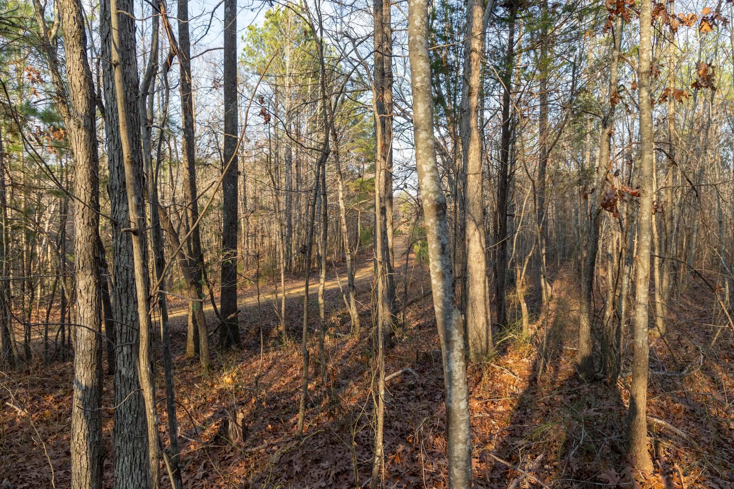 Lighting Ridge — Zero Credit Land owner financed land for sale in Colbert County, Alabama photo 36