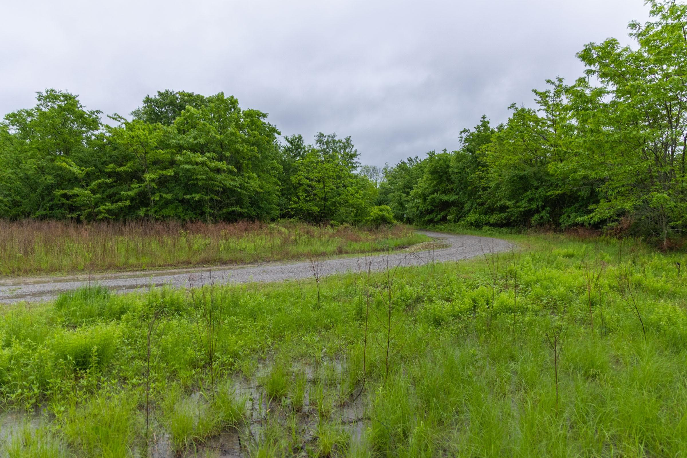 Harmony Hills — Zero Credit Land owner financed land for sale in Pittsburg County, Oklahoma photo 144
