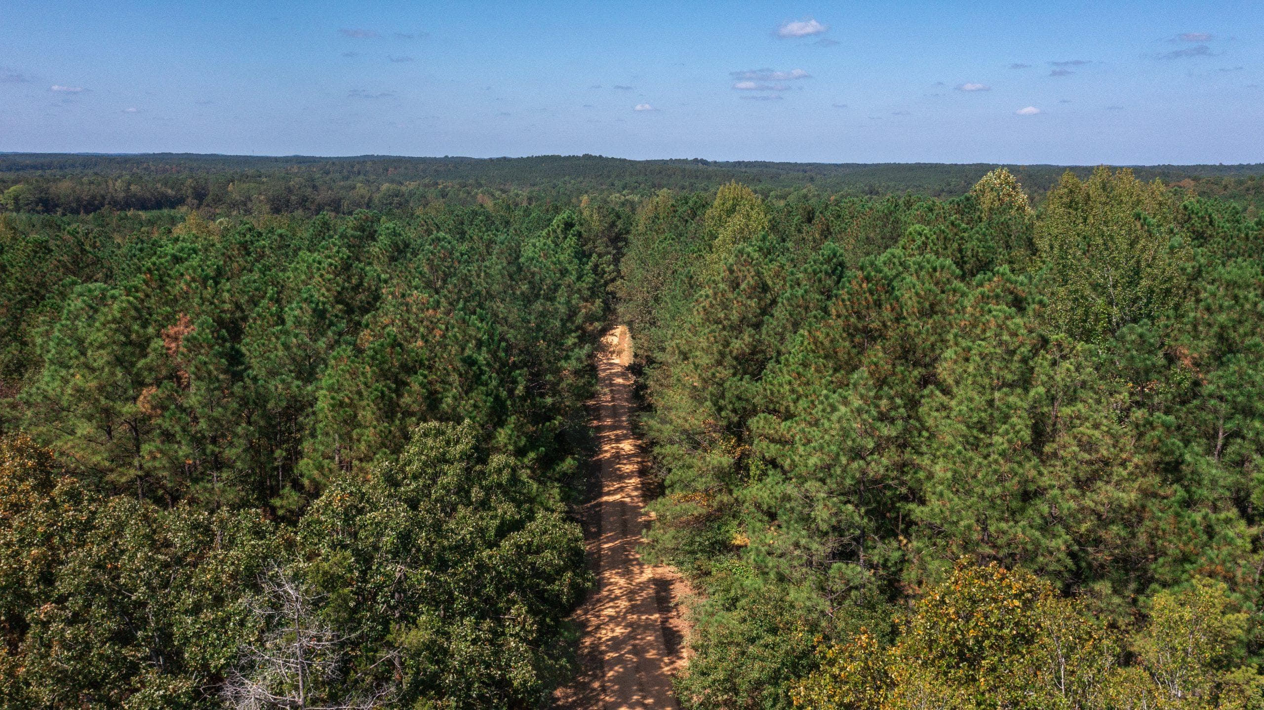 Willow Grove — Zero Credit Land owner financed land for sale in Lamar County, Alabama photo 41
