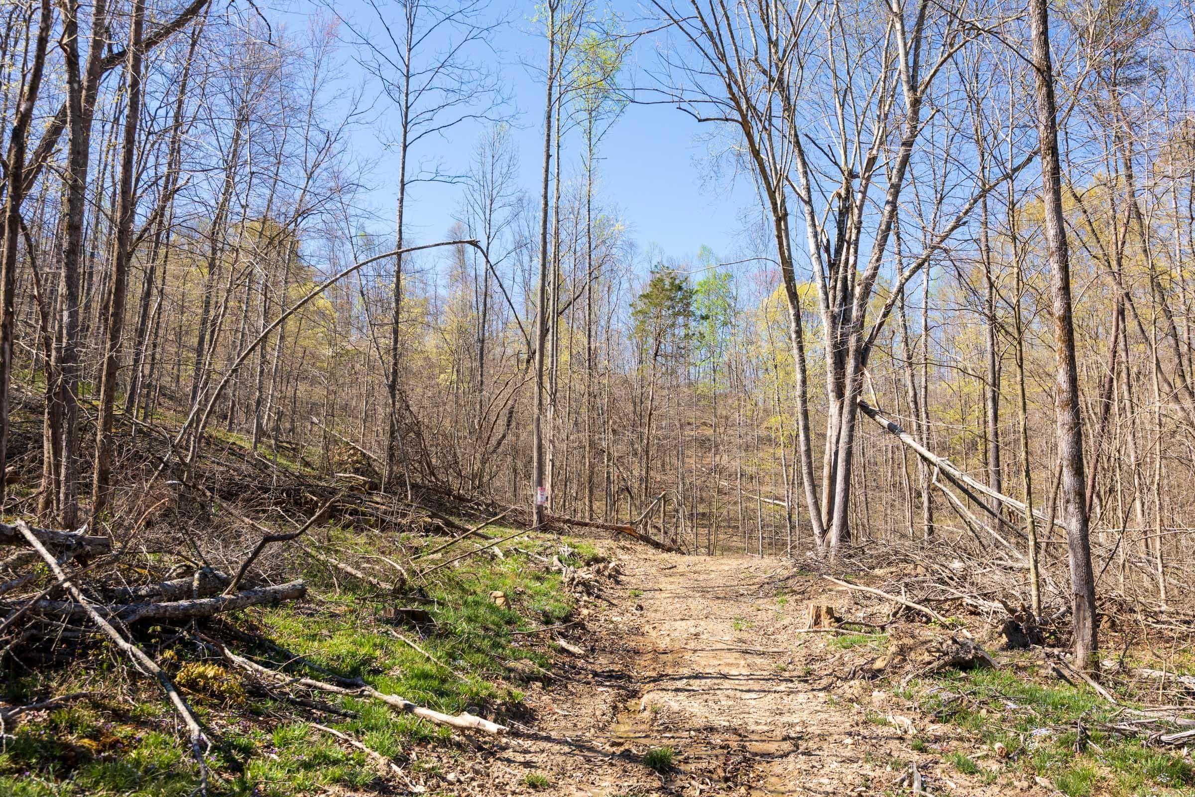 Creek Hollow Phase 1 — Zero Credit Land owner financed land for sale in Rockcastle County, Kentucky photo 57