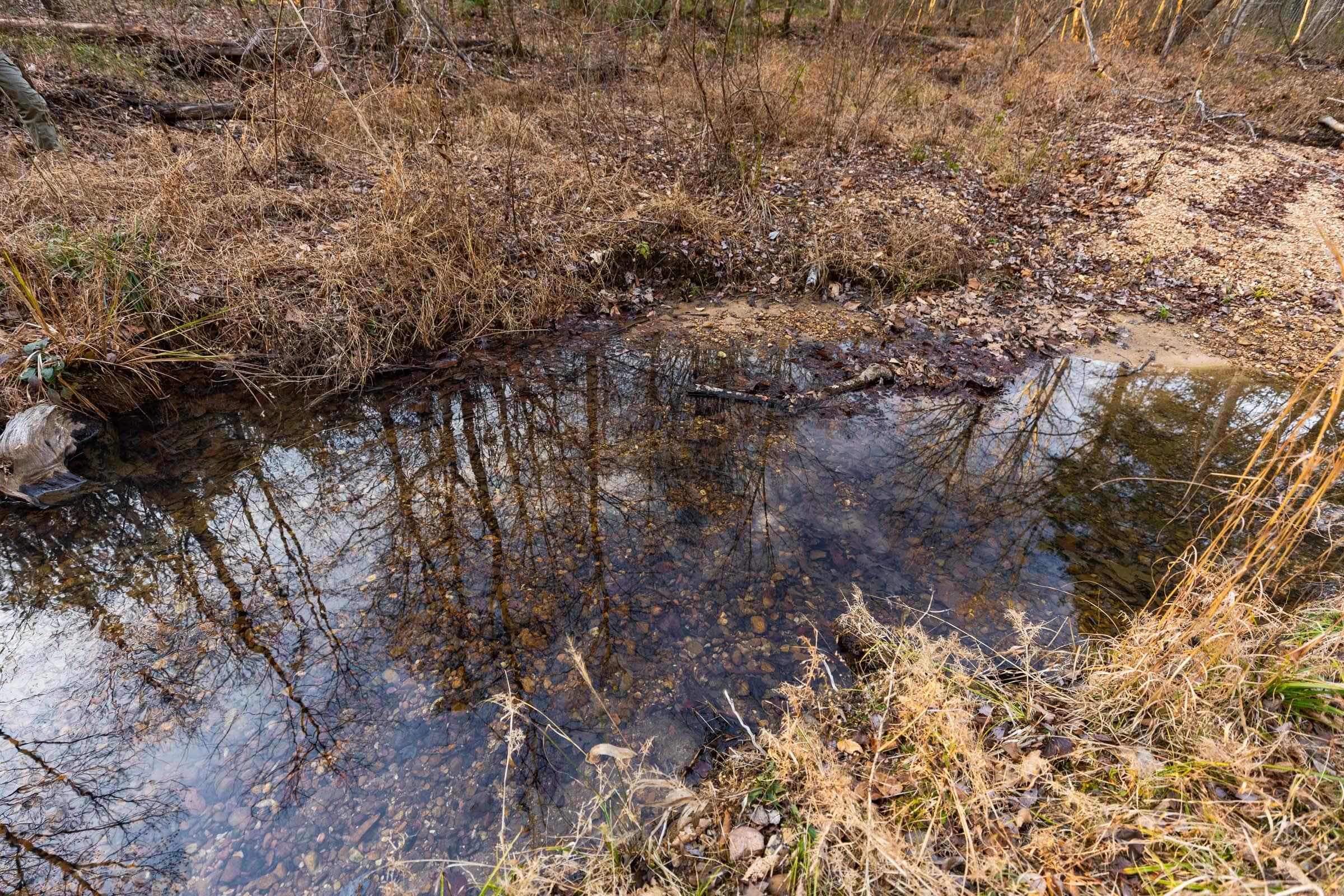 Lighting Ridge — Zero Credit Land owner financed land for sale in Colbert County, Alabama photo 52
