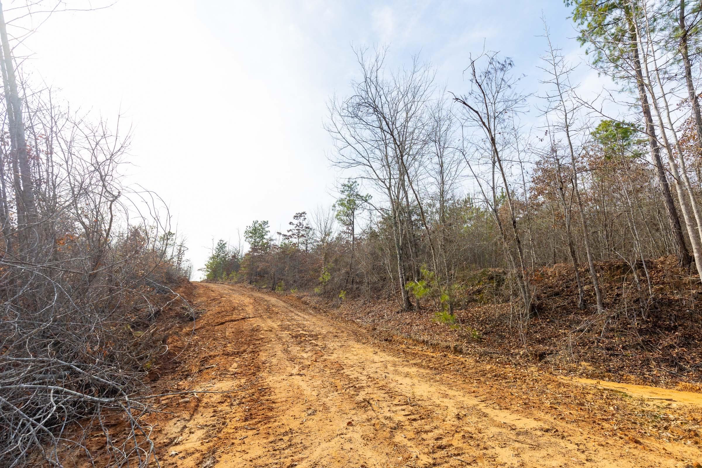 Baker Creek — Zero Credit Land owner financed land for sale in Fayette County, Alabama