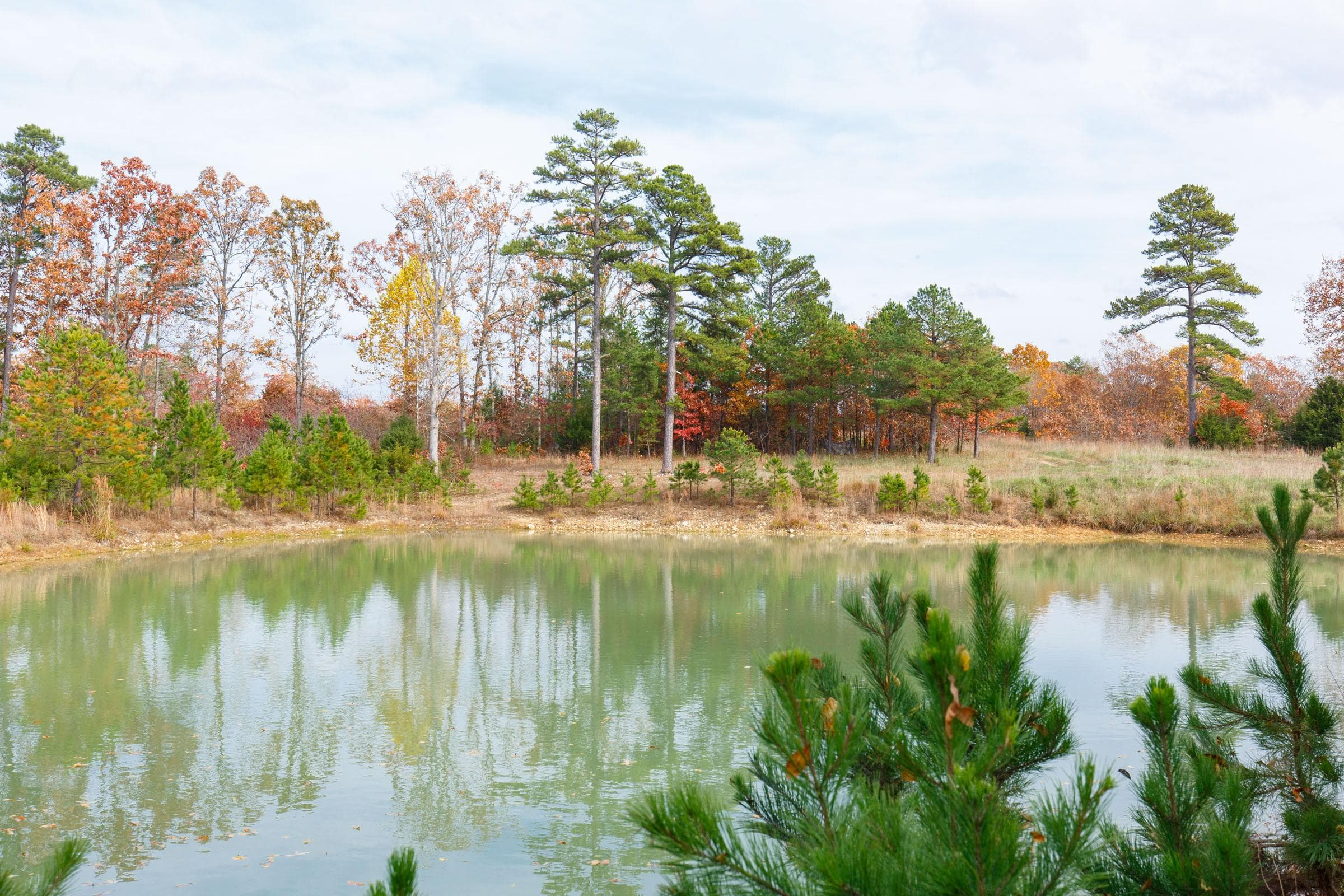 Hawk Crest — Zero Credit Land owner financed land for sale in Reynolds County, Missouri photo 44