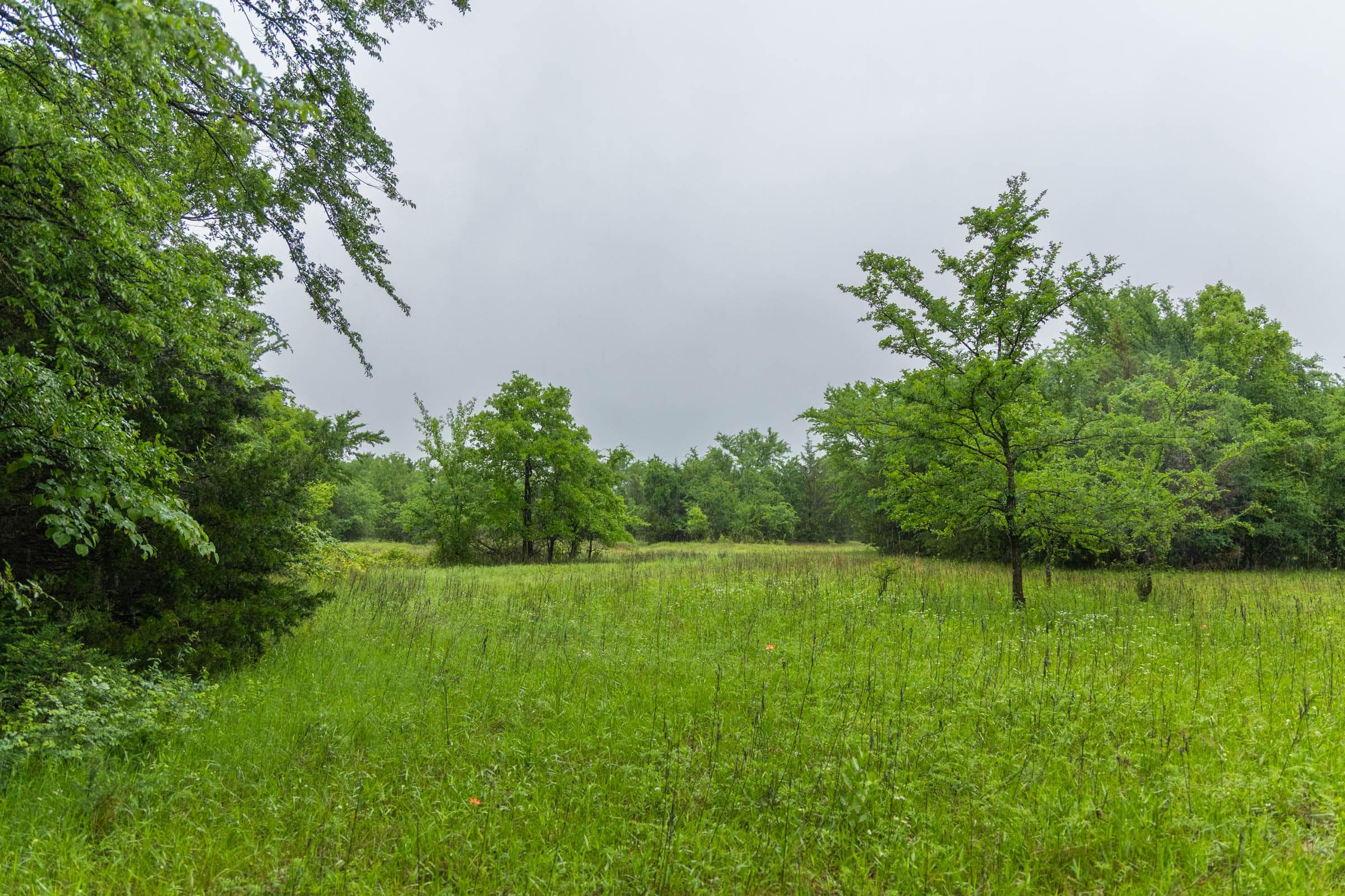 Harmony Hills — Zero Credit Land owner financed land for sale in Pittsburg County, Oklahoma photo 146