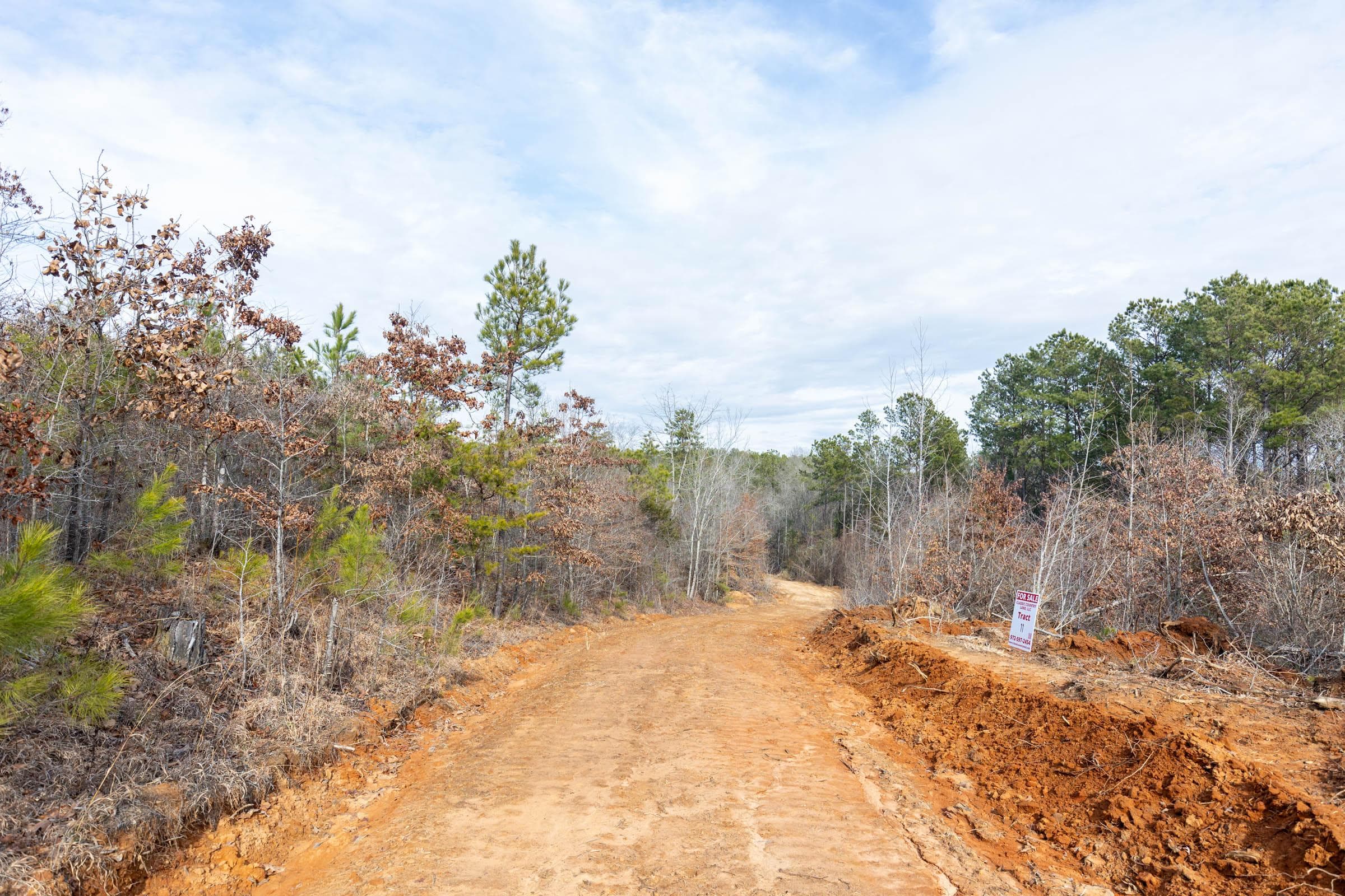 Baker Creek — Zero Credit Land owner financed land for sale in Fayette County, Alabama photo 3