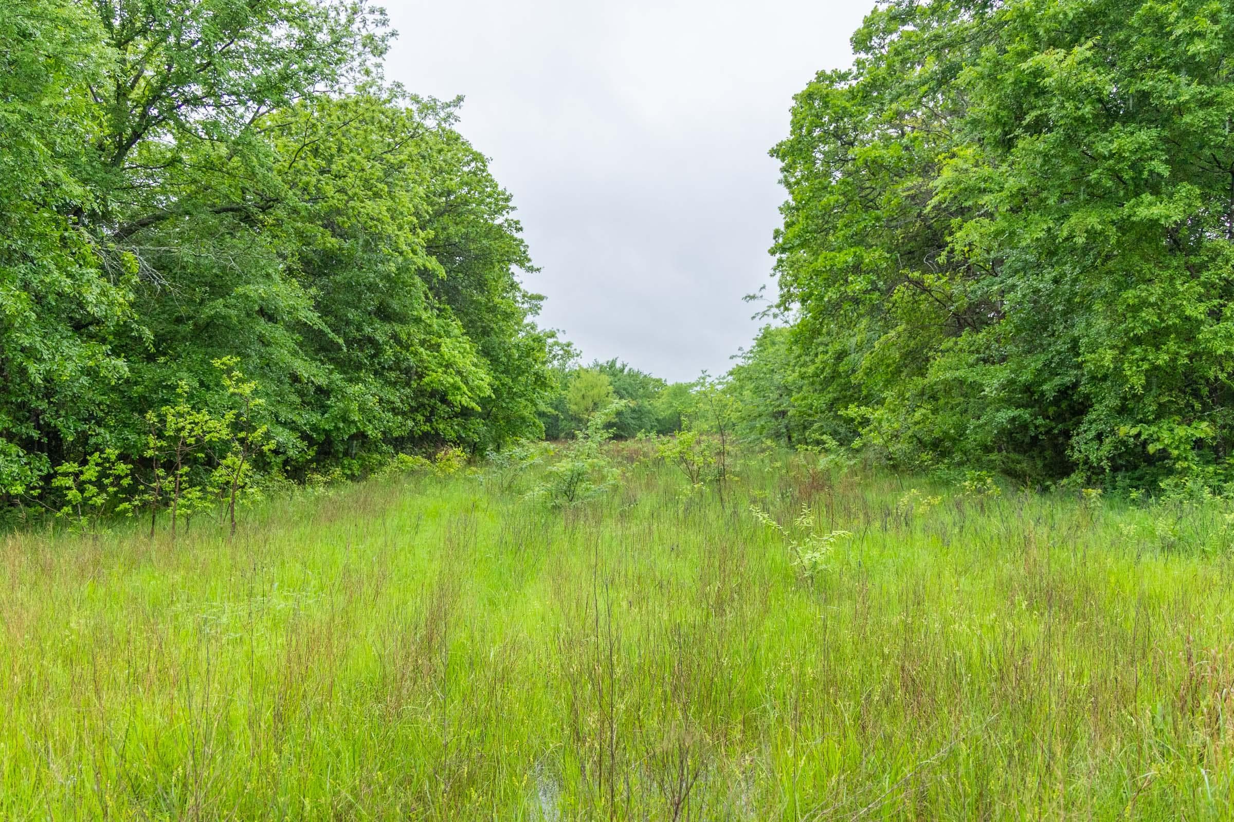 Harmony Hills — Zero Credit Land owner financed land for sale in Pittsburg County, Oklahoma photo 140
