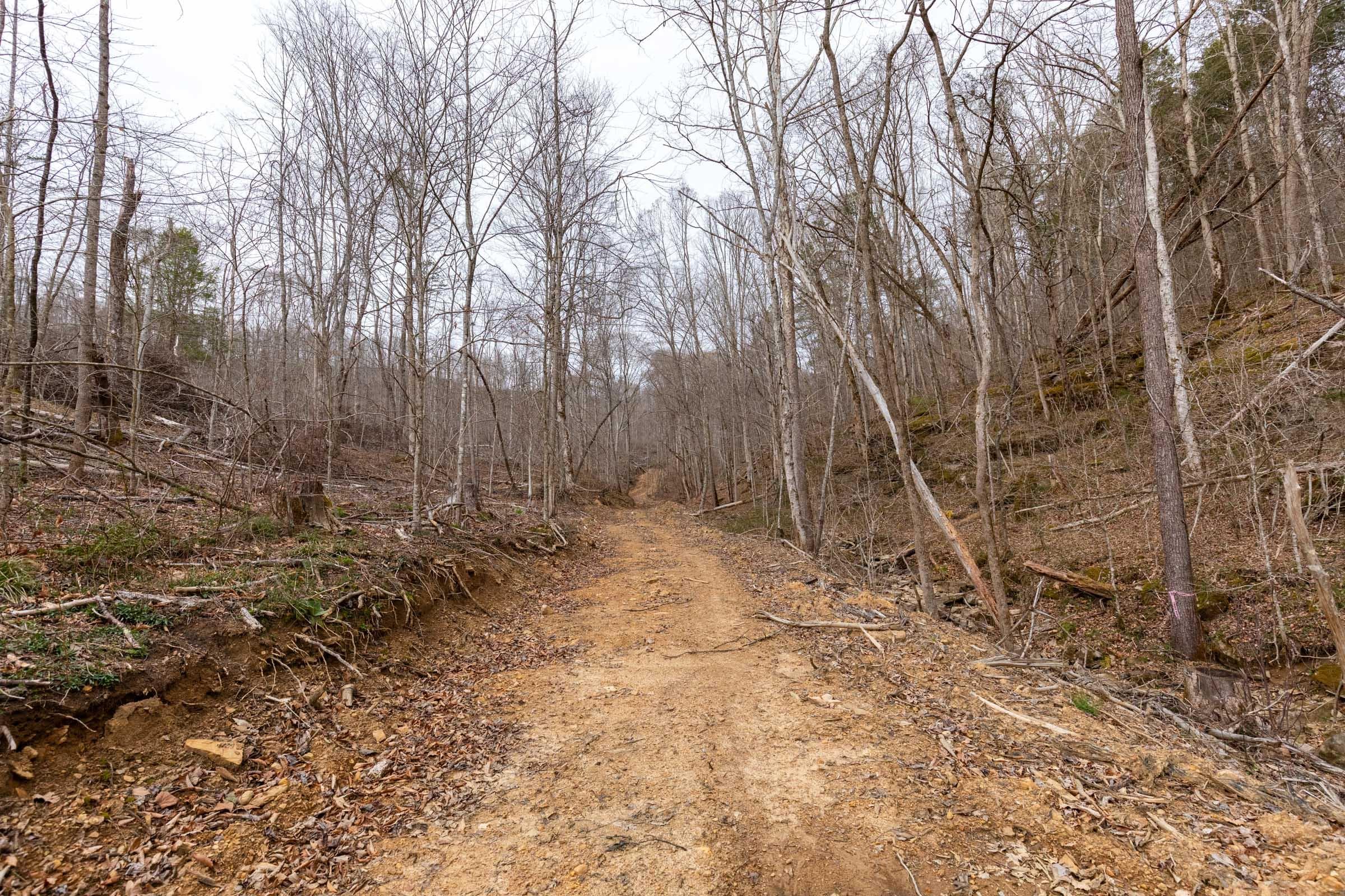 Creek Hollow Phase 1 — Zero Credit Land owner financed land for sale in Rockcastle County, Kentucky photo 36