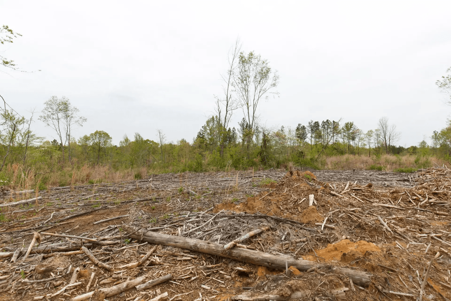 Twin Rivers — Zero Credit Land owner financed land for sale in Henderson County, Tennessee photo 12