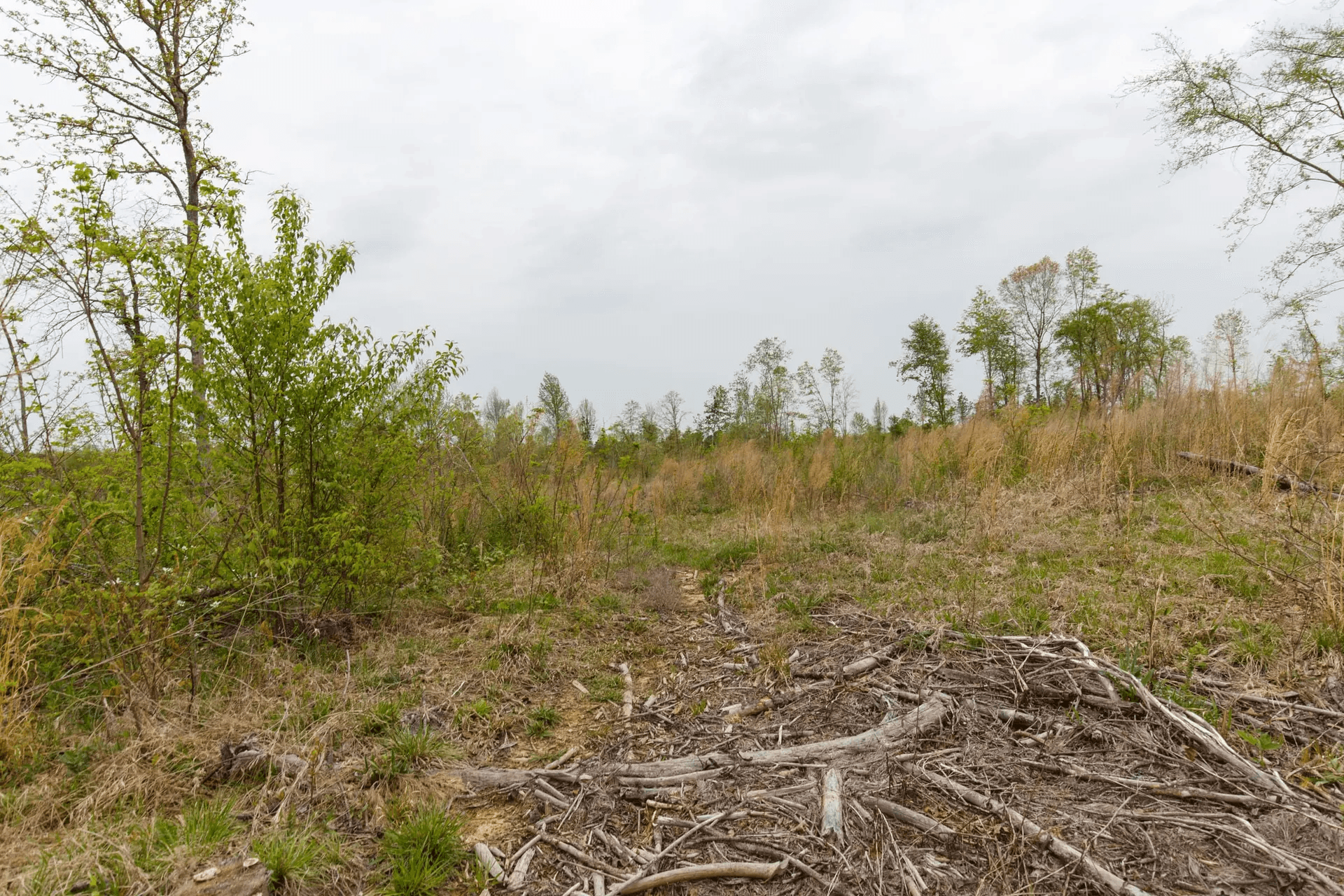 Twin Rivers — Zero Credit Land owner financed land for sale in Henderson County, Tennessee