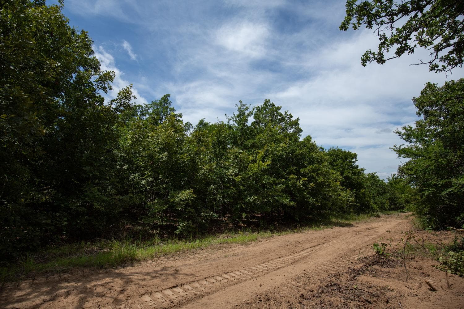 Timber Ridge — Zero Credit Land owner financed land for sale in McIntosh County, Oklahoma photo 3