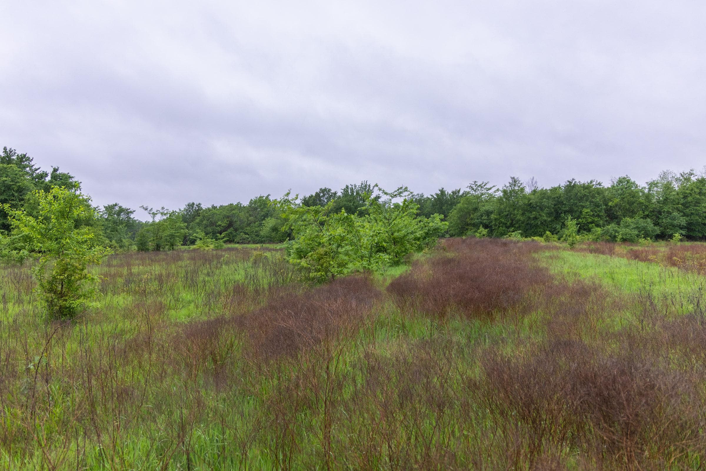 Harmony Hills — Zero Credit Land owner financed land for sale in Pittsburg County, Oklahoma photo 130