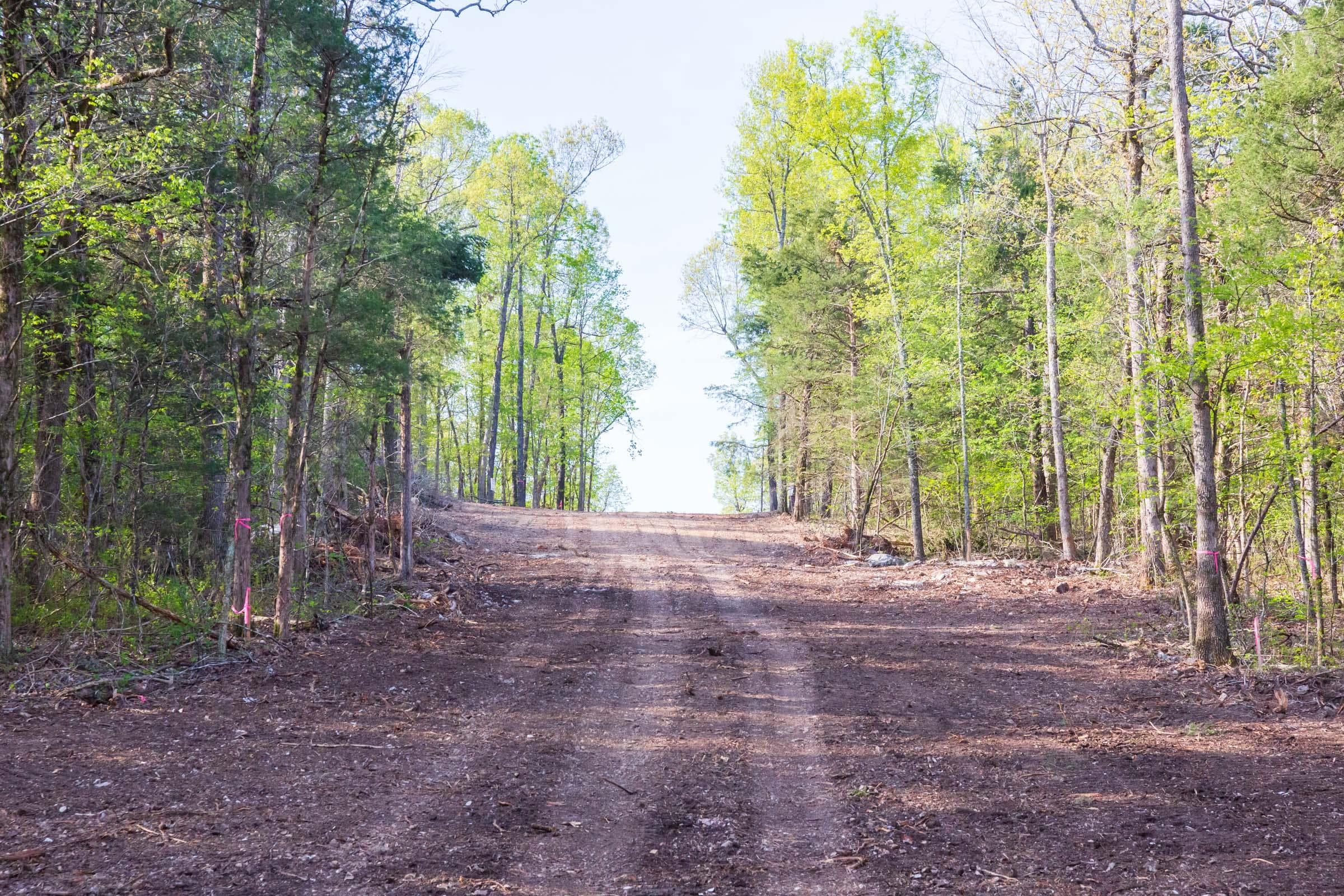  Autumnwood — Zero Credit Land owner financed land for sale in Fulton County, Arkansas photo 18
