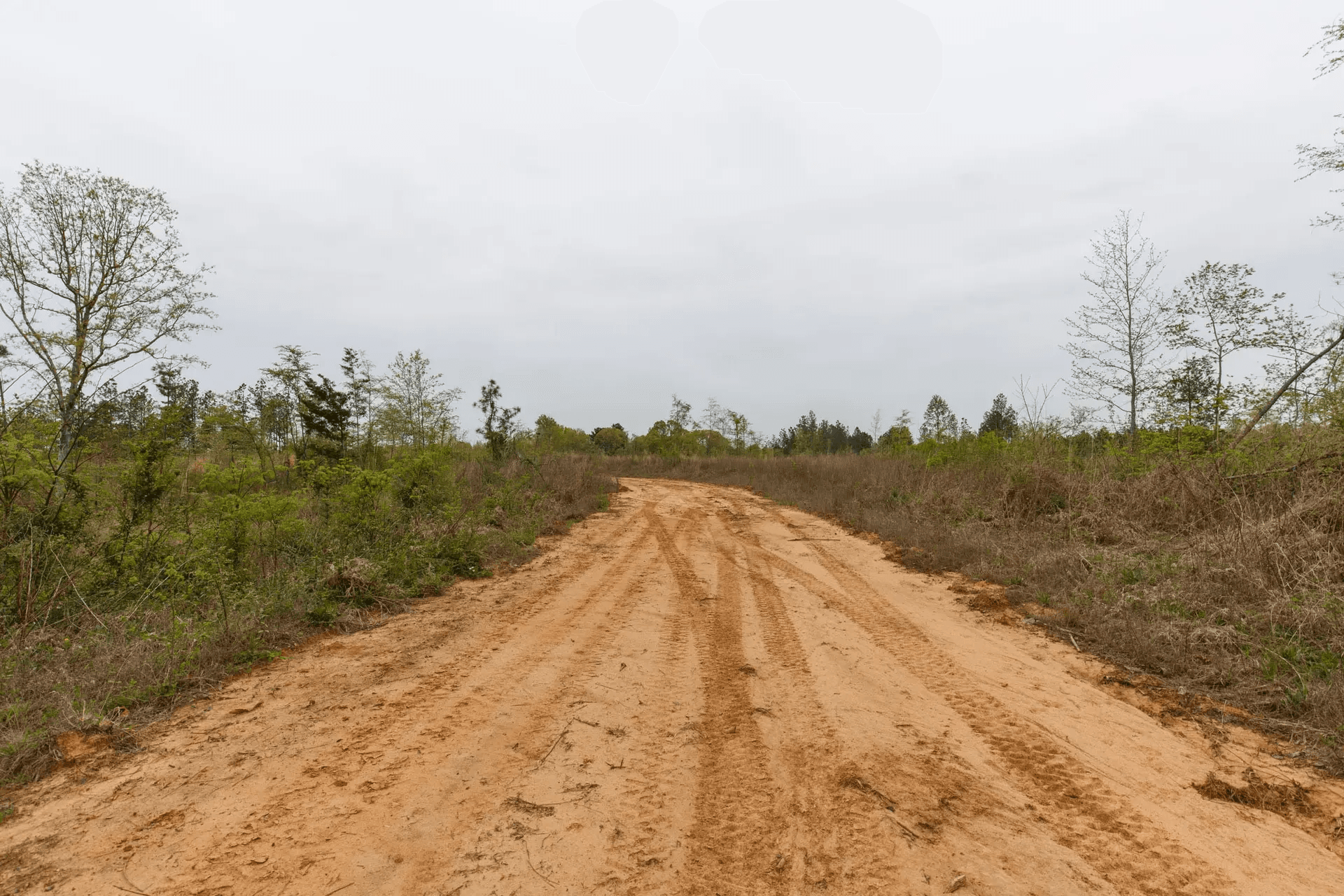 Twin Rivers — Zero Credit Land owner financed land for sale in Henderson County, Tennessee photo 7