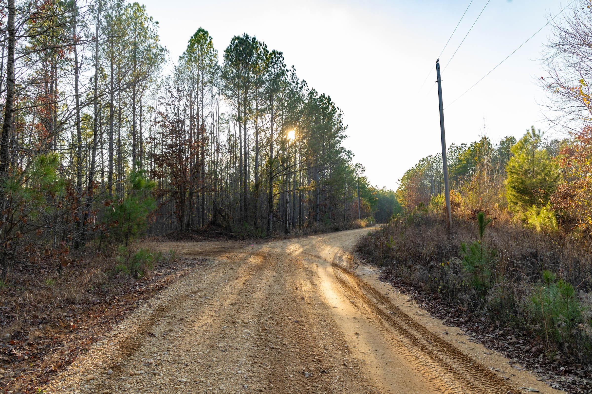 Lighting Ridge — Zero Credit Land owner financed land for sale in Colbert County, Alabama photo 43