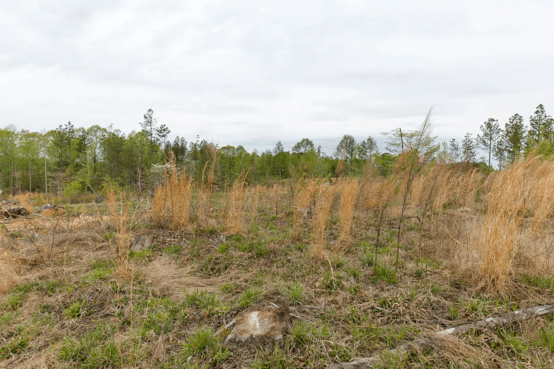 Twin Rivers — Zero Credit Land owner financed land for sale in Henderson County, Tennessee photo 34