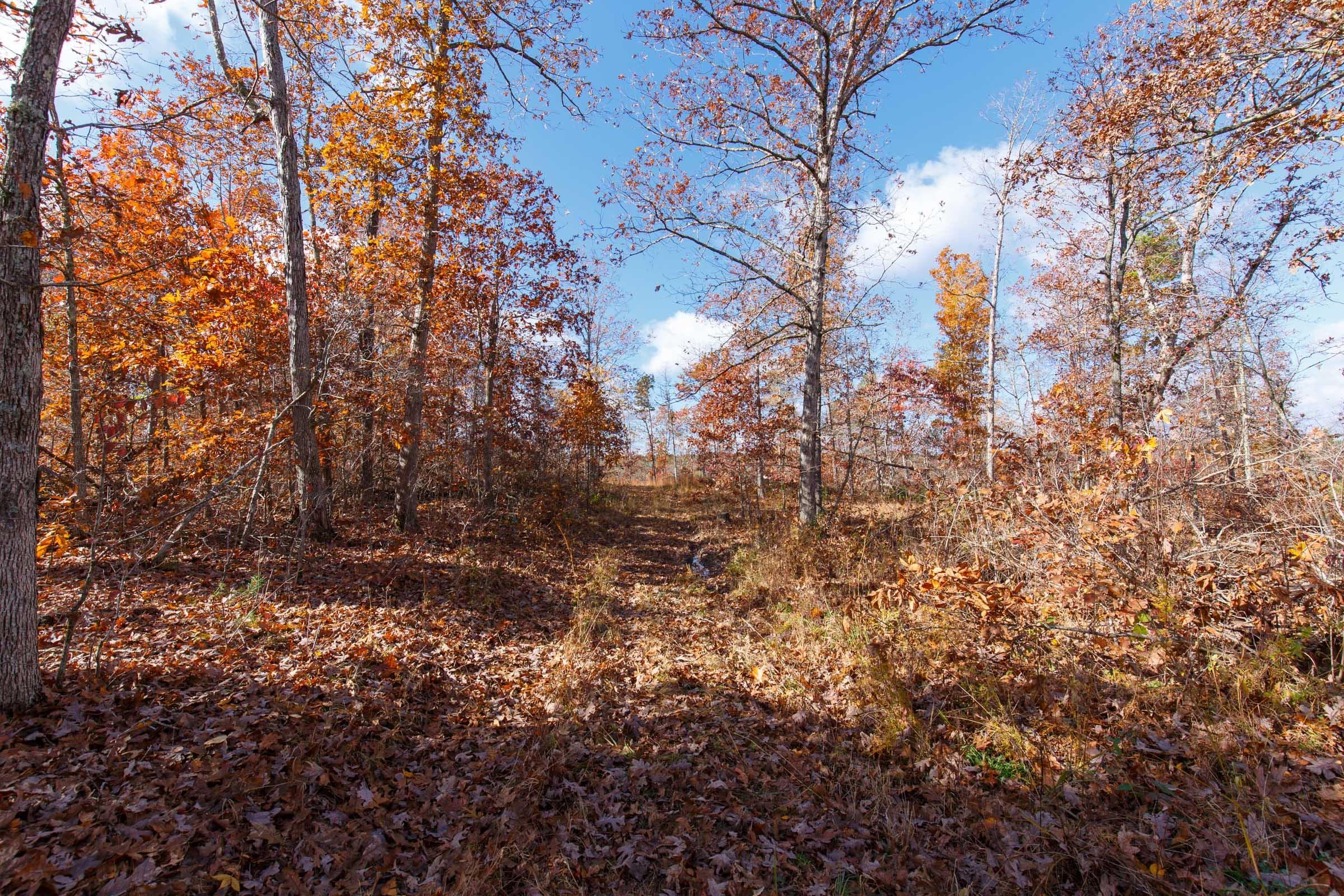 Hawk Crest — Zero Credit Land owner financed land for sale in Reynolds County, Missouri photo 2