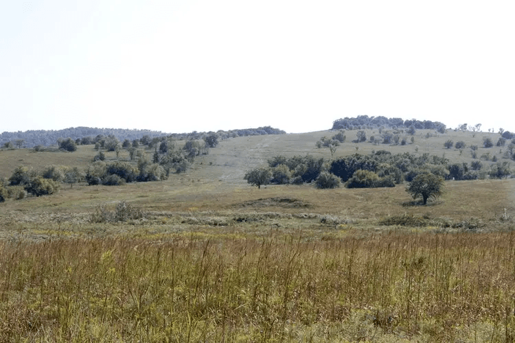 Cowboy Meadows — Zero Credit Land owner financed land for sale in Chautauqua County, Kansas photo 19