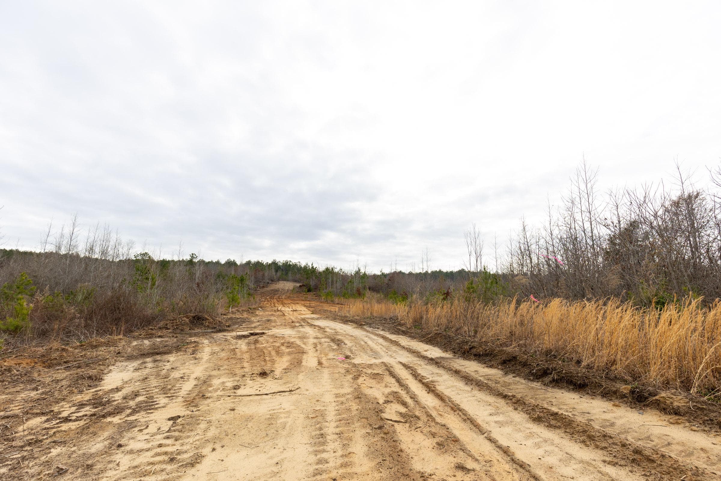 Baker Creek — Zero Credit Land owner financed land for sale in Fayette County, Alabama photo 10