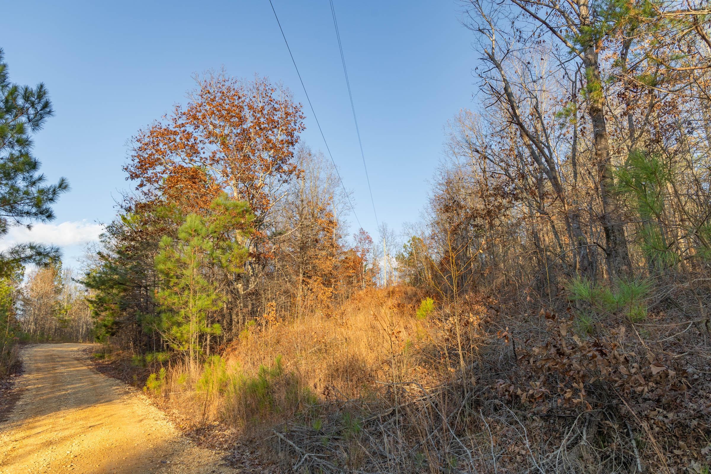 Lighting Ridge — Zero Credit Land owner financed land for sale in Colbert County, Alabama photo 46