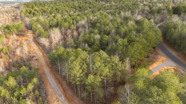Baker Creek — Zero Credit Land owner financed land for sale in Fayette County, Alabama photo 23