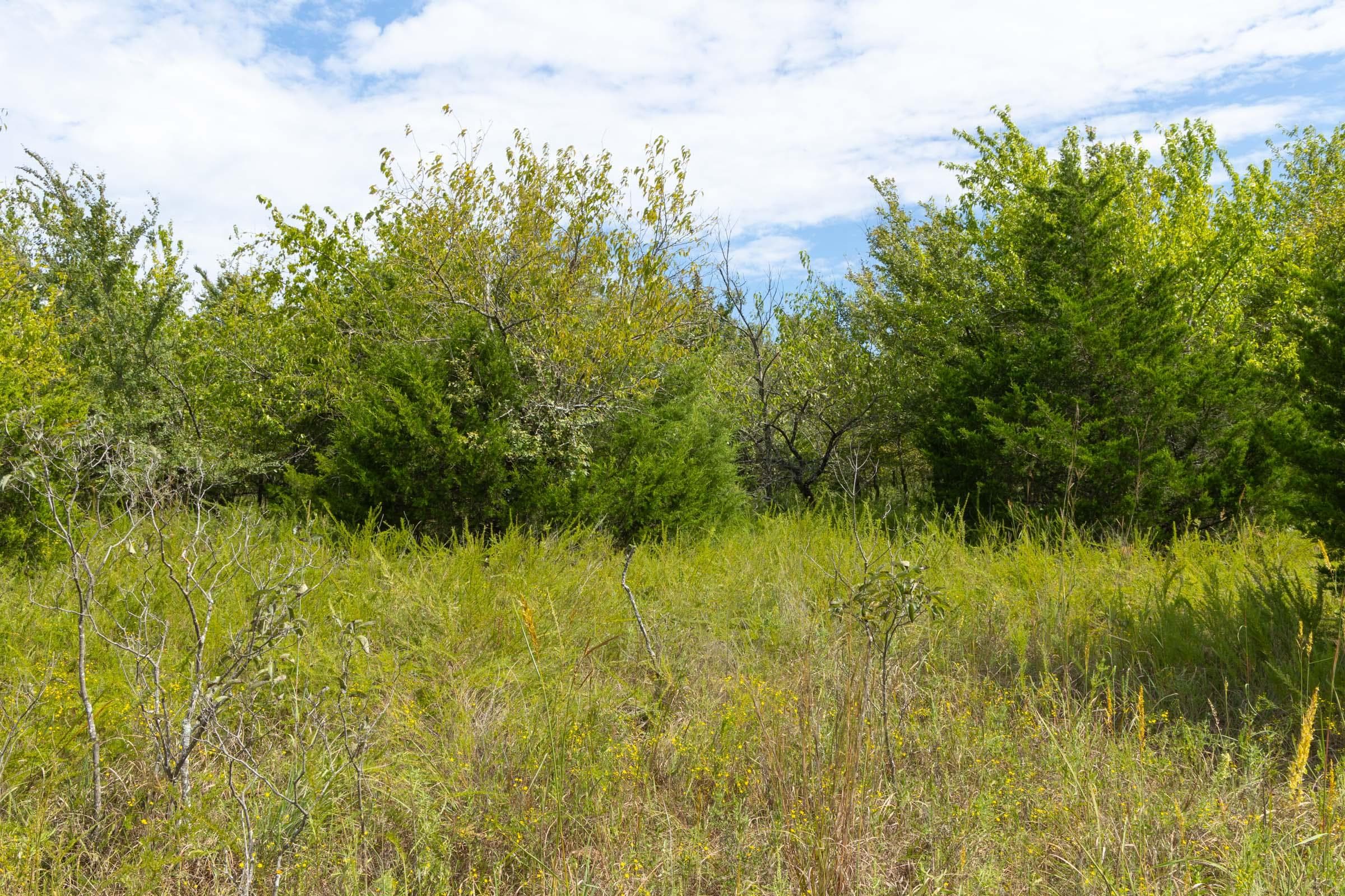  Reserves At Cattail Cove Phase II — Zero Credit Land owner financed land for sale in Pittsburg County, Oklahoma photo 62