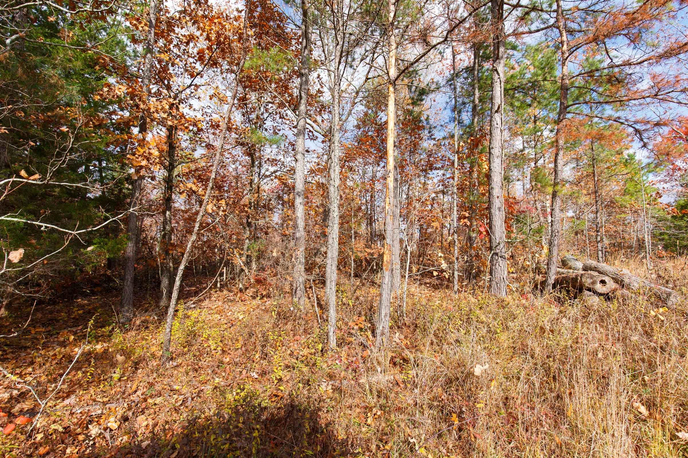 Hawk Crest — Zero Credit Land owner financed land for sale in Reynolds County, Missouri