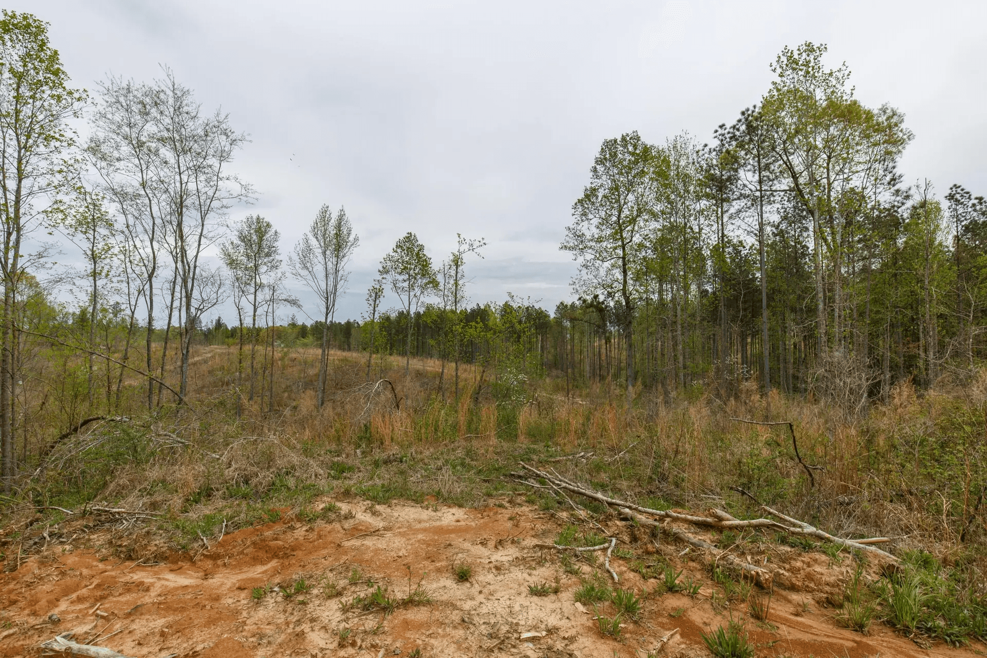 Twin Rivers — Zero Credit Land owner financed land for sale in Henderson County, Tennessee photo 3