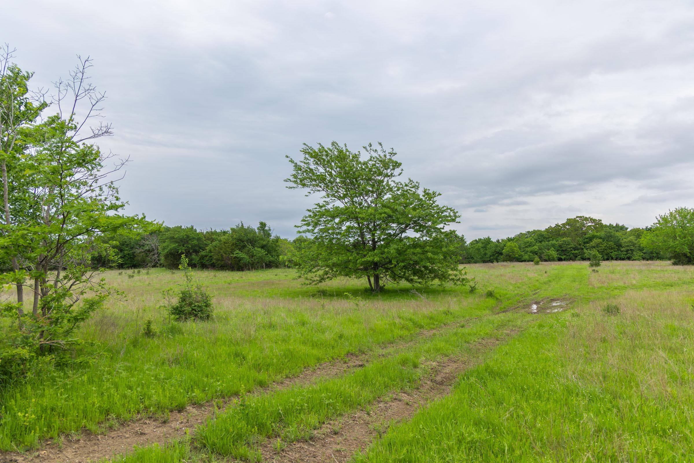 Harmony Hills — Zero Credit Land owner financed land for sale in Pittsburg County, Oklahoma photo 161