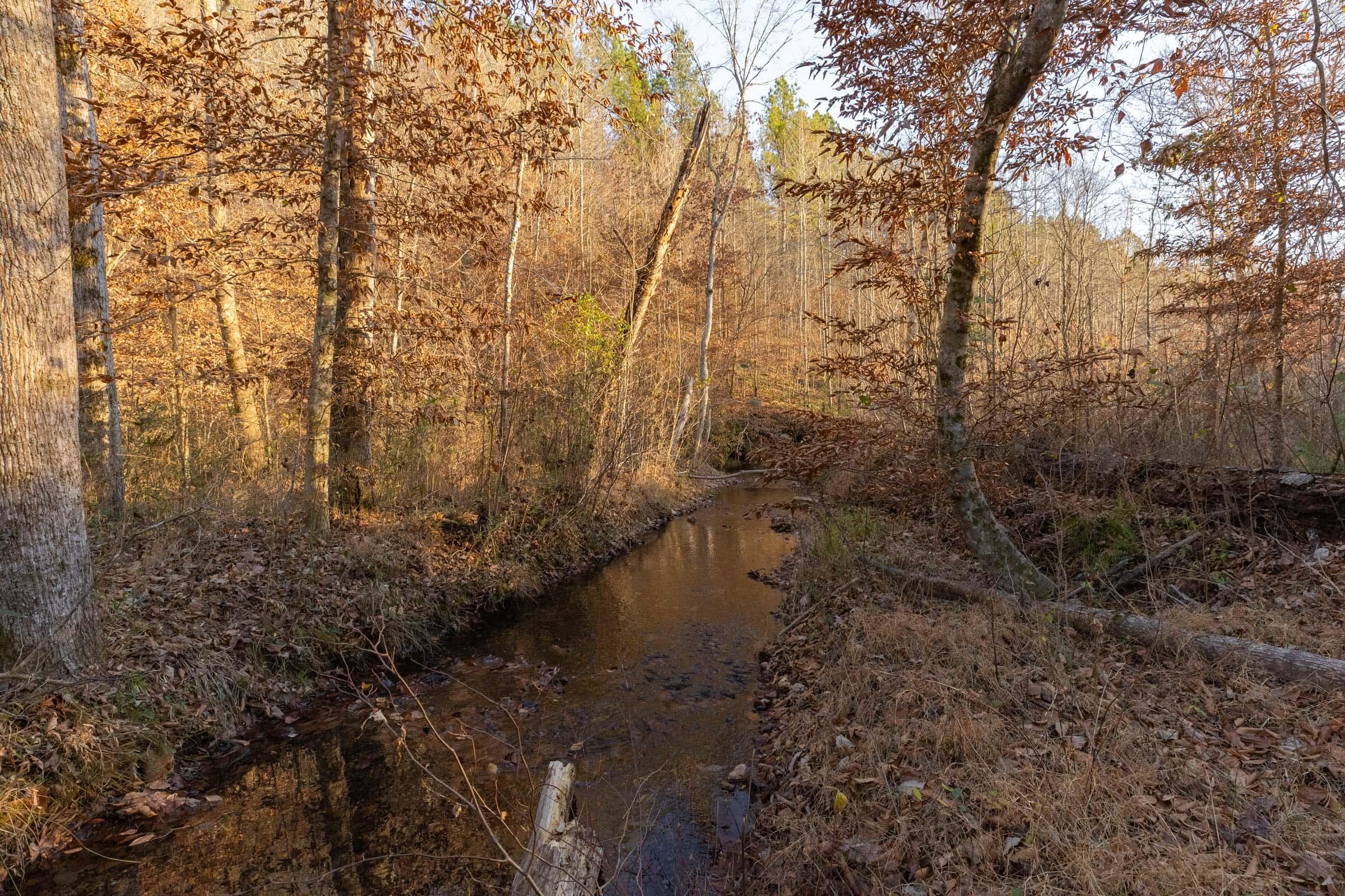 Lighting Ridge — Zero Credit Land owner financed land for sale in Colbert County, Alabama photo 26
