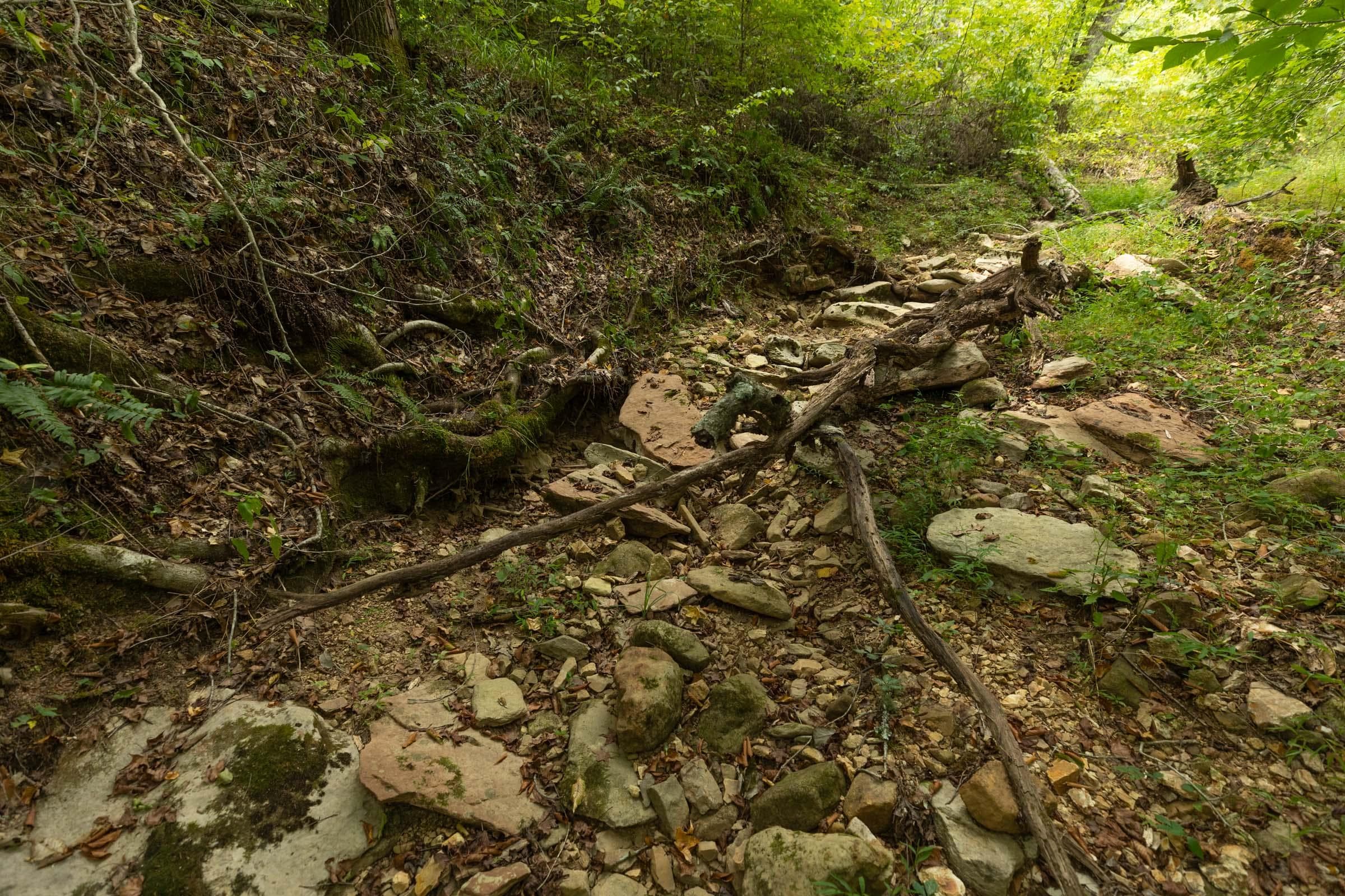 Property photo 278