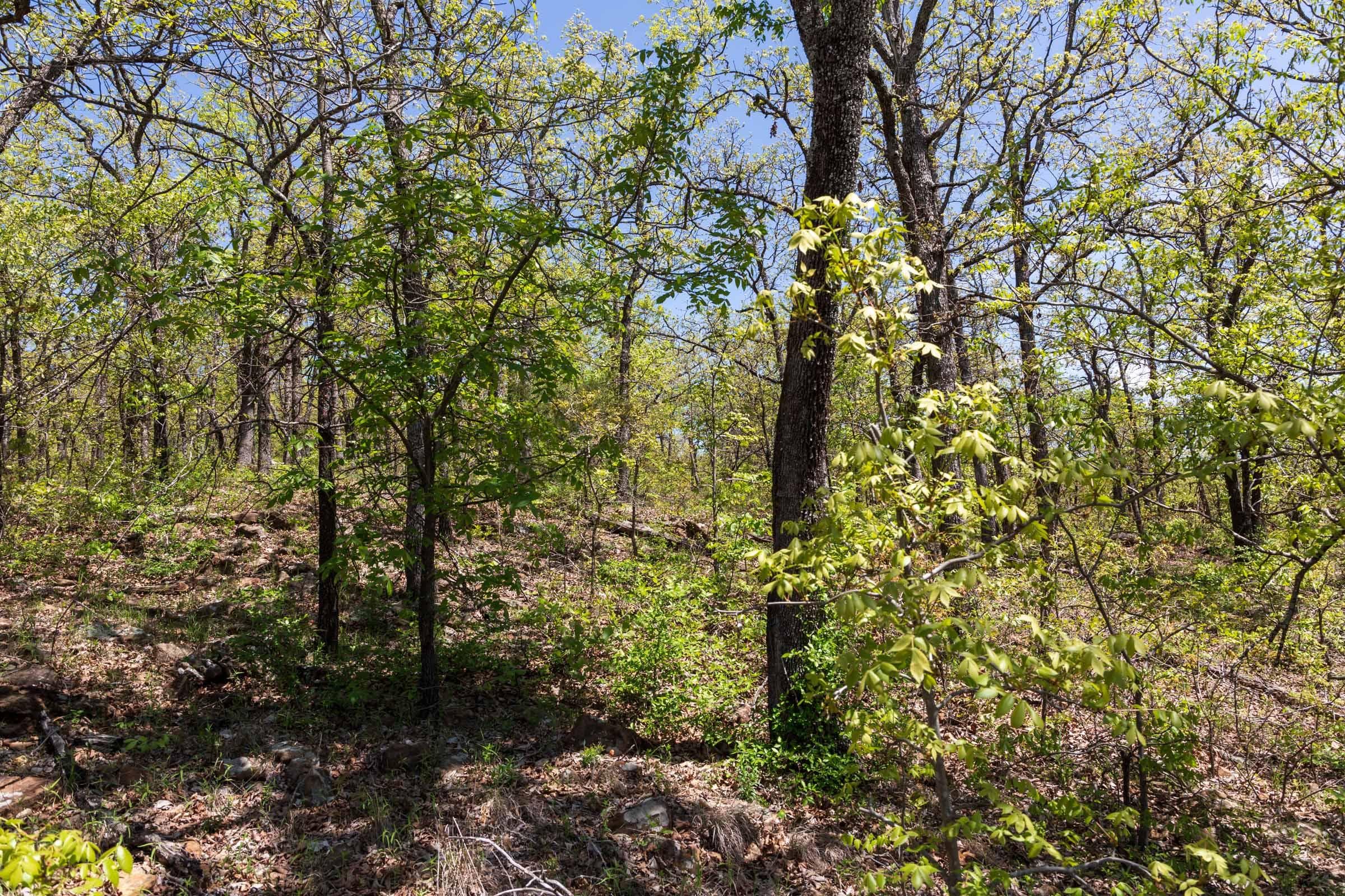 Allies Acres — Zero Credit Land owner financed land for sale in Pittsburg County, Oklahoma photo 4